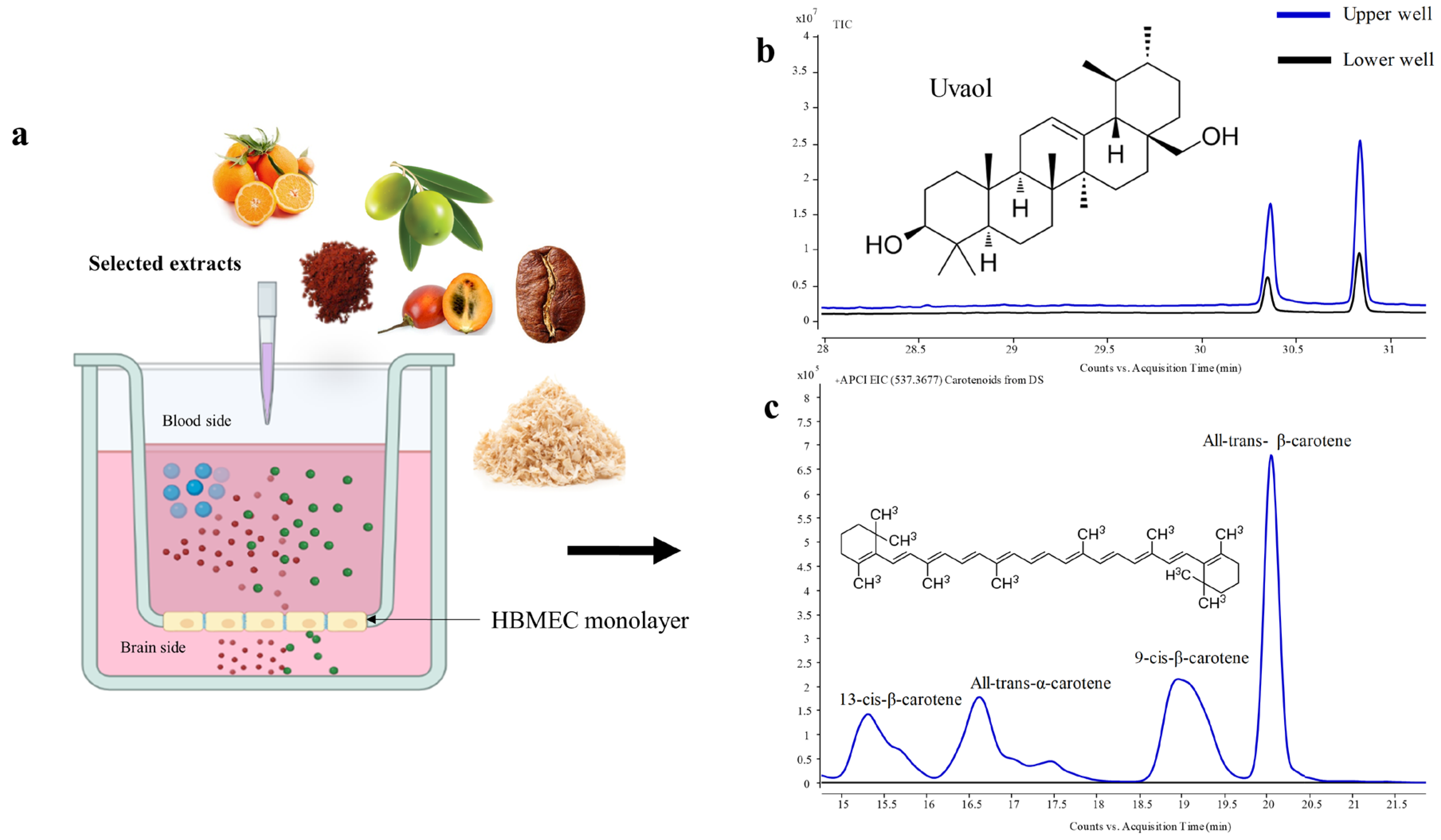 Ijms 24 00533 g001 Ijms 24 00533 g001