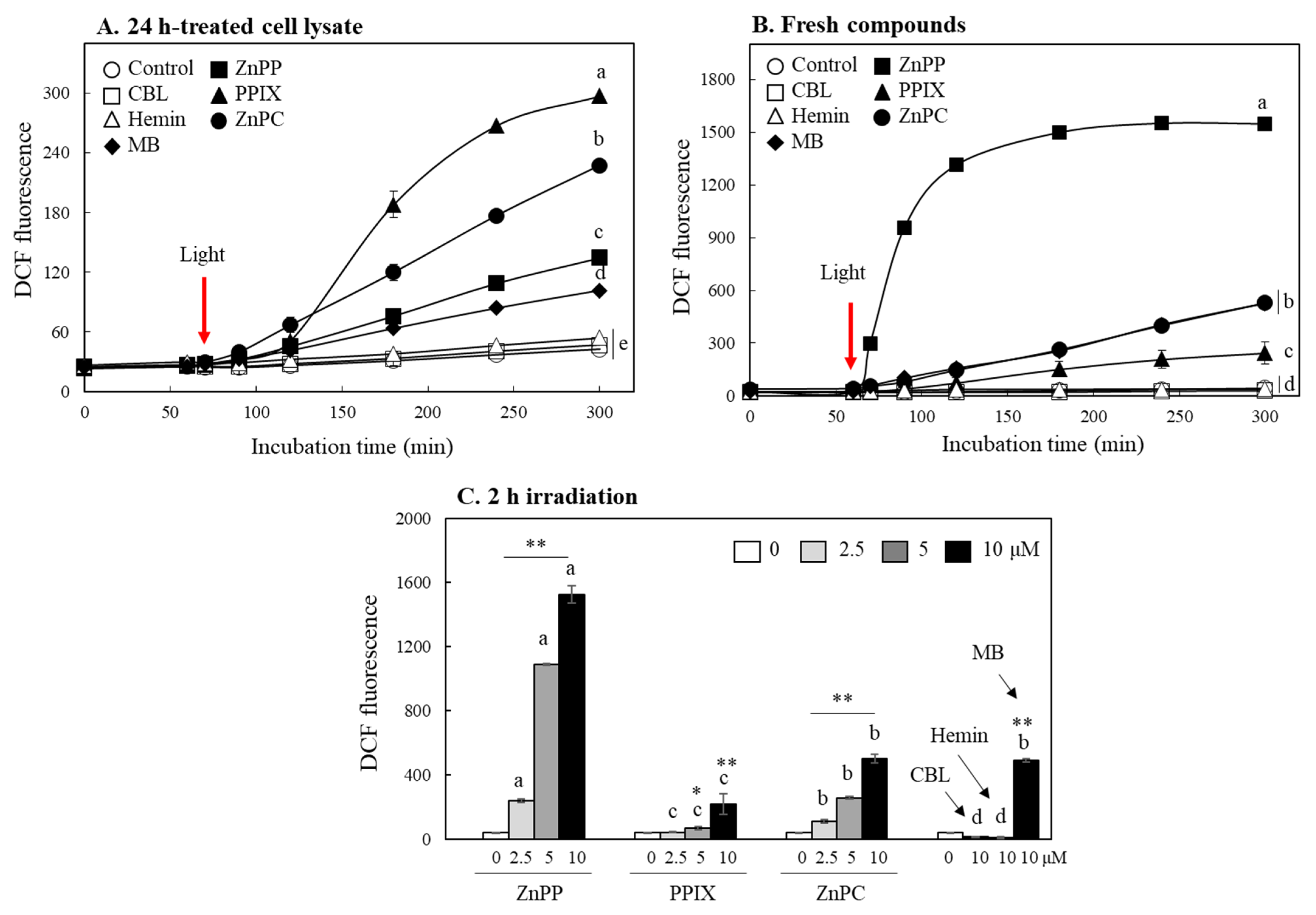 Ijms 24 00562 g006 Ijms 24 00562 g006