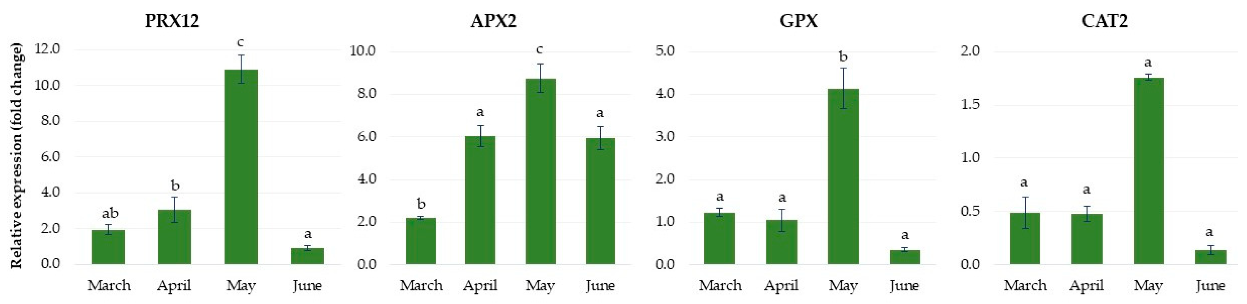 Ijms 24 00607 g014 Ijms 24 00607 g014
