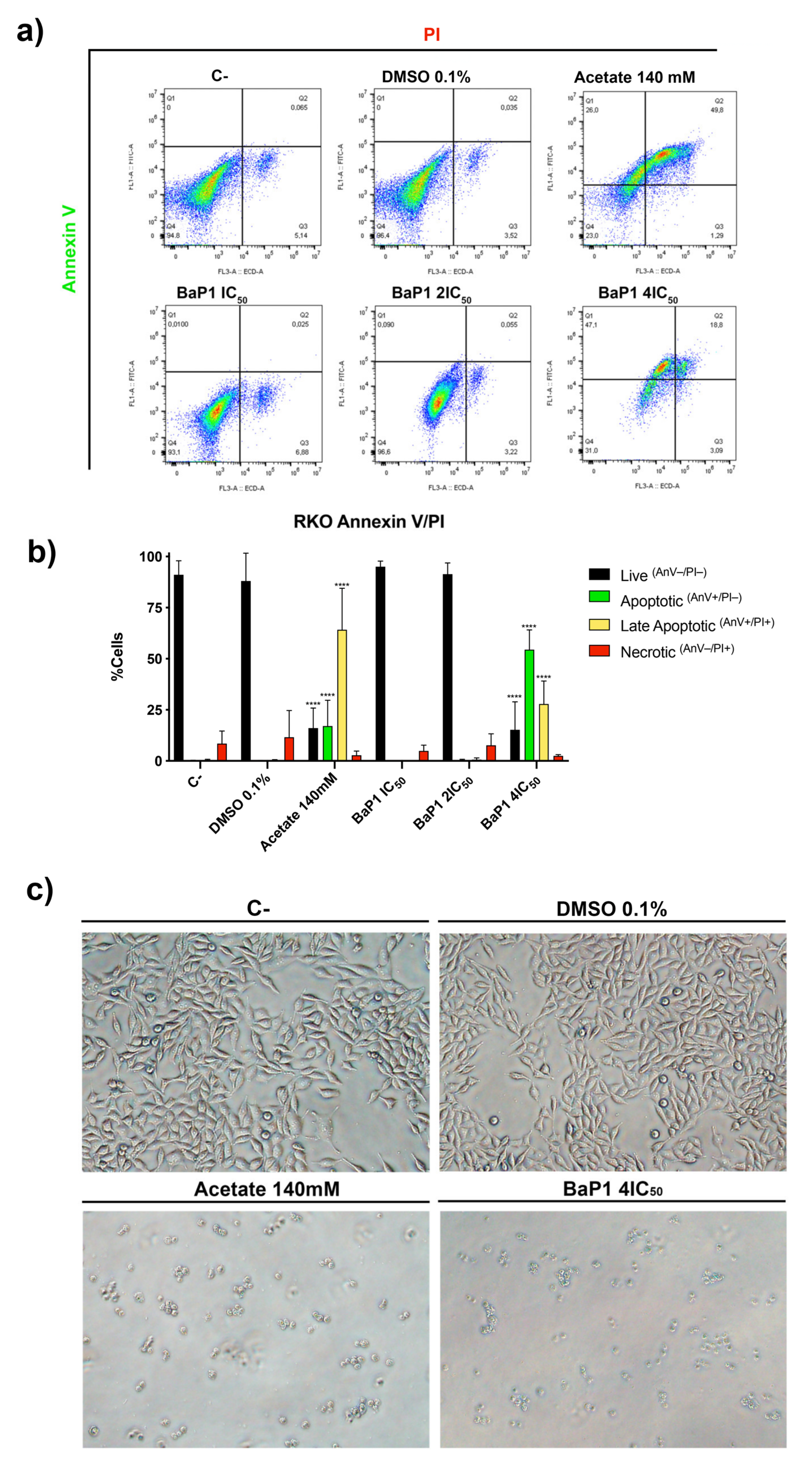 Ijms 24 00614 g005 Ijms 24 00614 g005