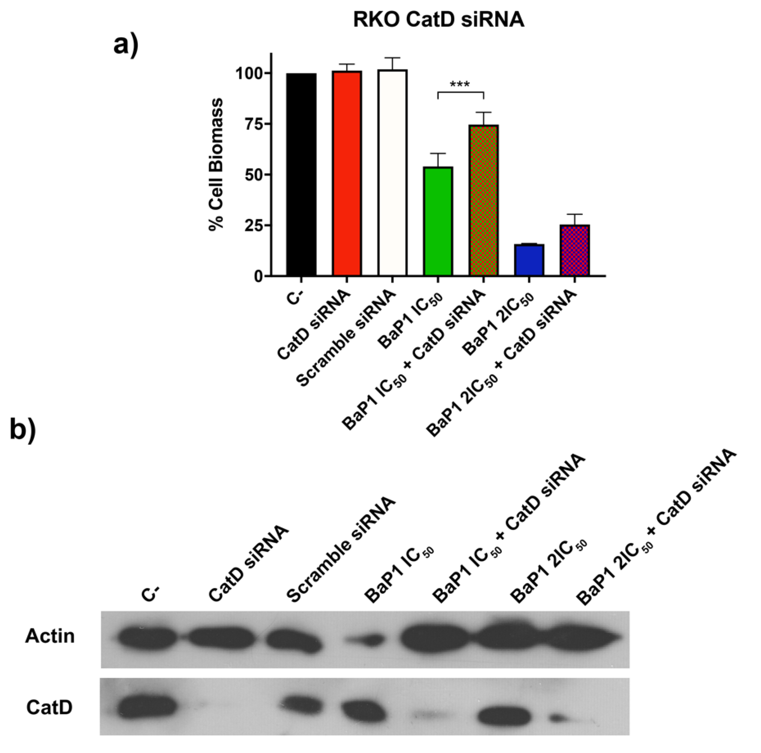 Ijms 24 00614 g008 Ijms 24 00614 g008