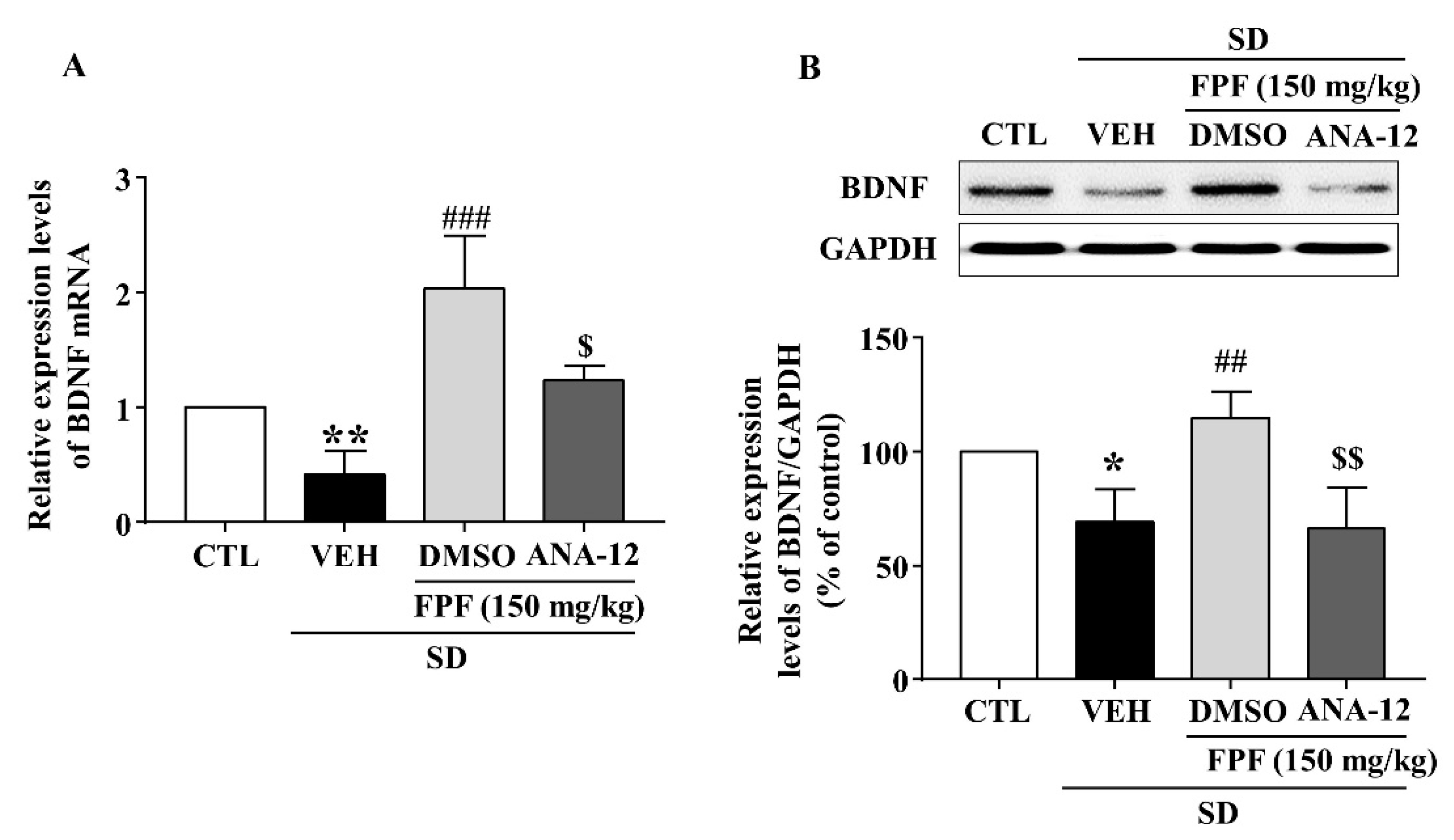 Ijms 24 00622 g008 Ijms 24 00622 g008
