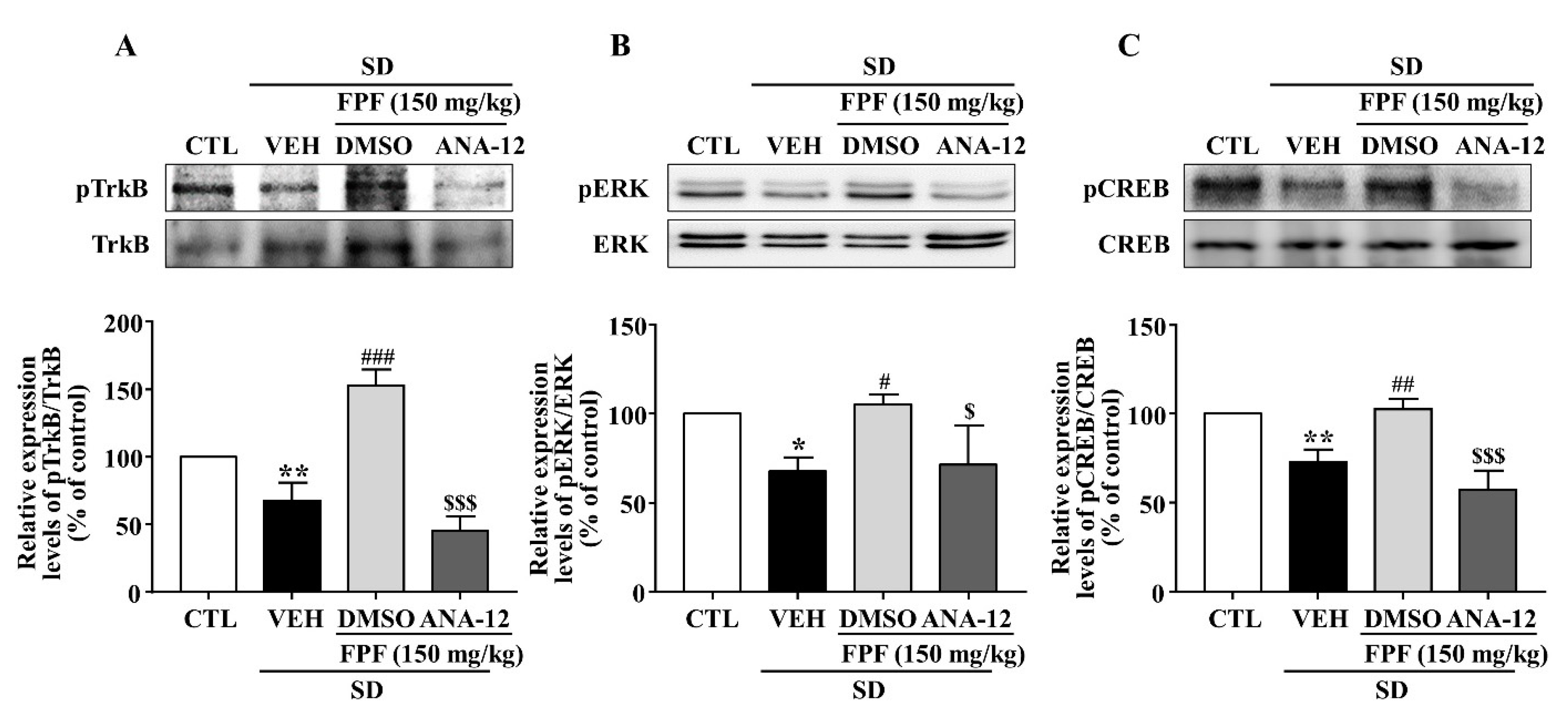 Ijms 24 00622 g009 Ijms 24 00622 g009