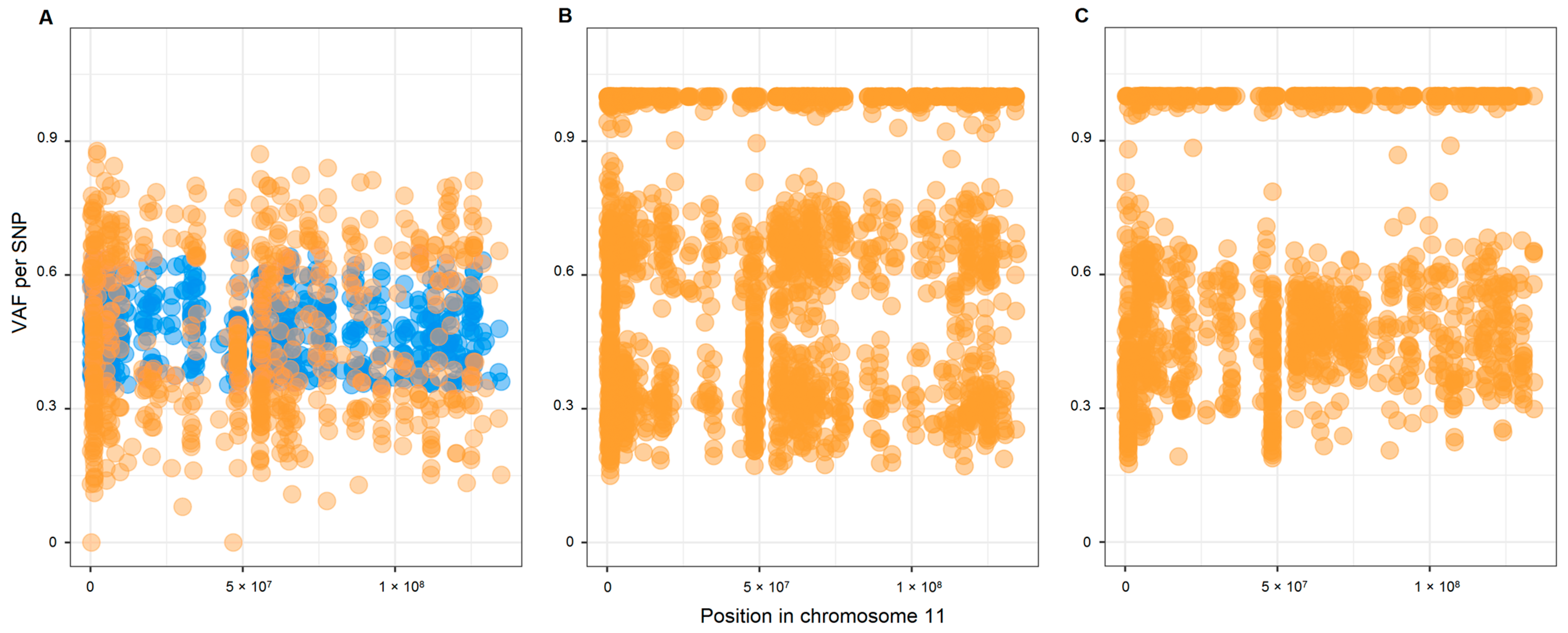 Ijms 24 00628 g001 Ijms 24 00628 g001