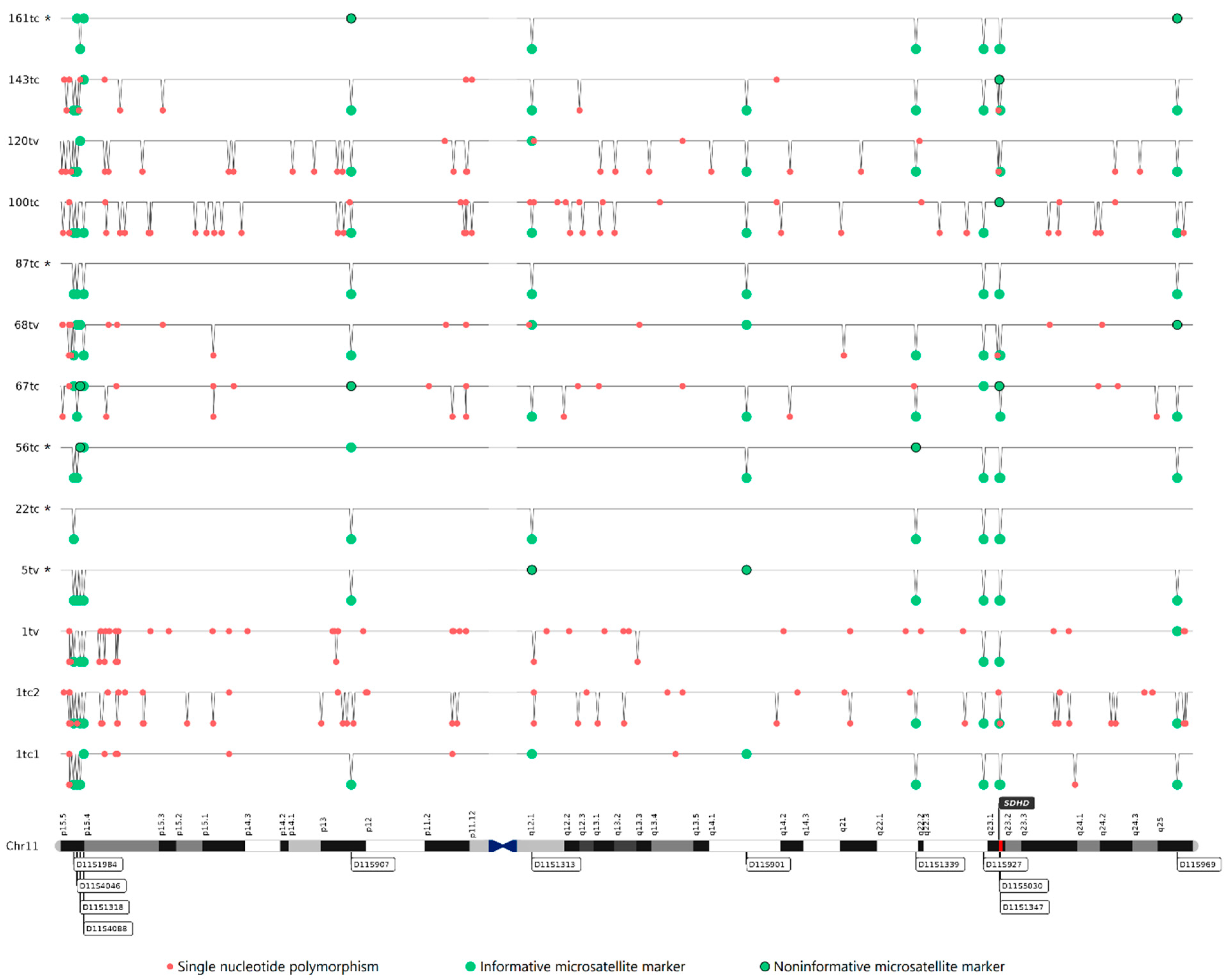 Ijms 24 00628 g002 Ijms 24 00628 g002