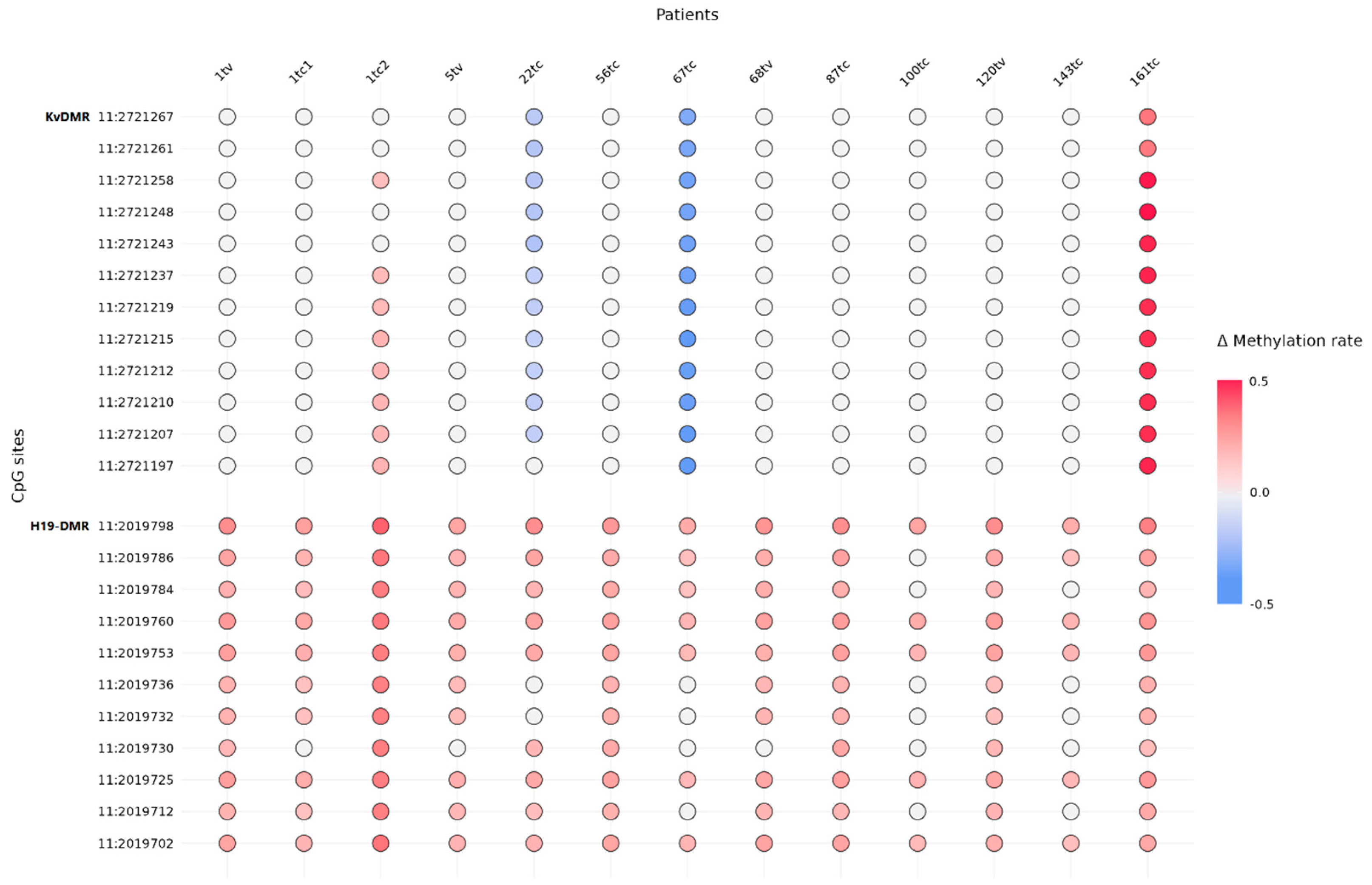 Ijms 24 00628 g003 Ijms 24 00628 g003