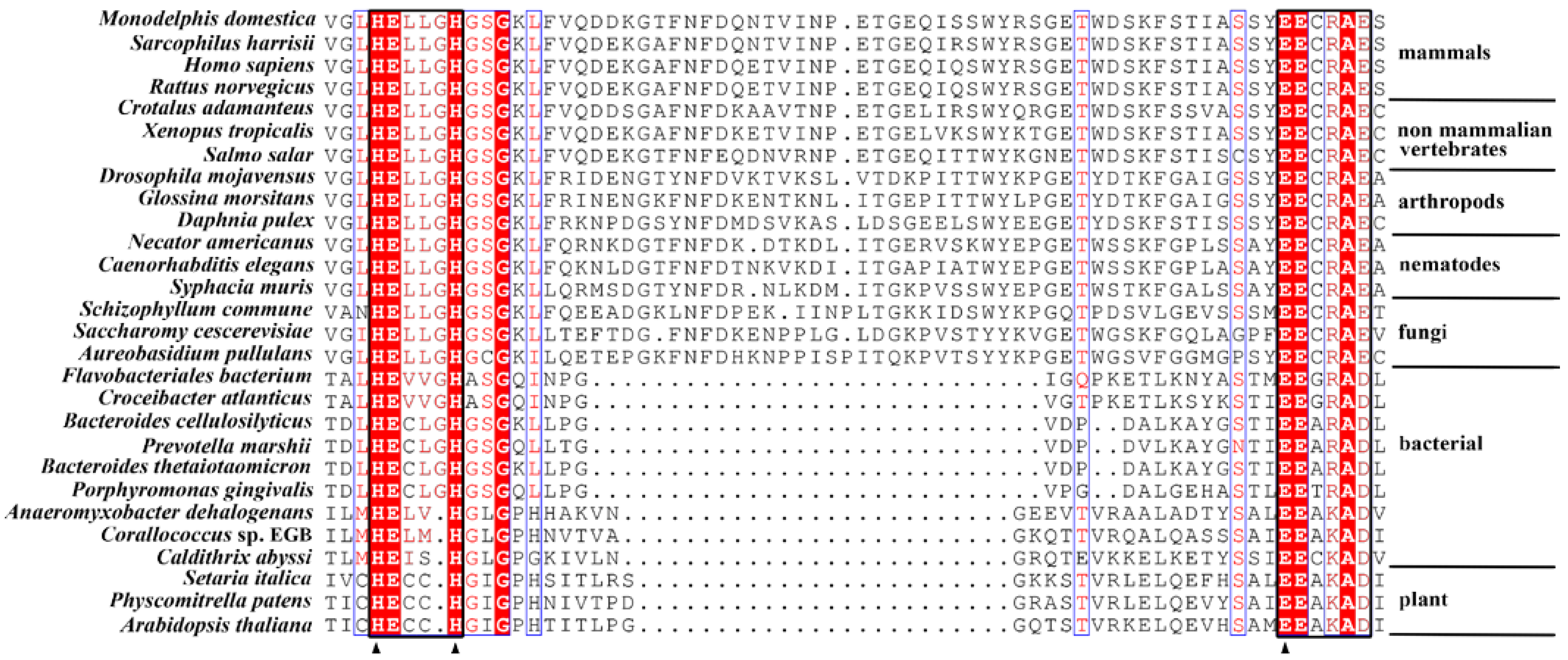 Ijms 24 00631 g001