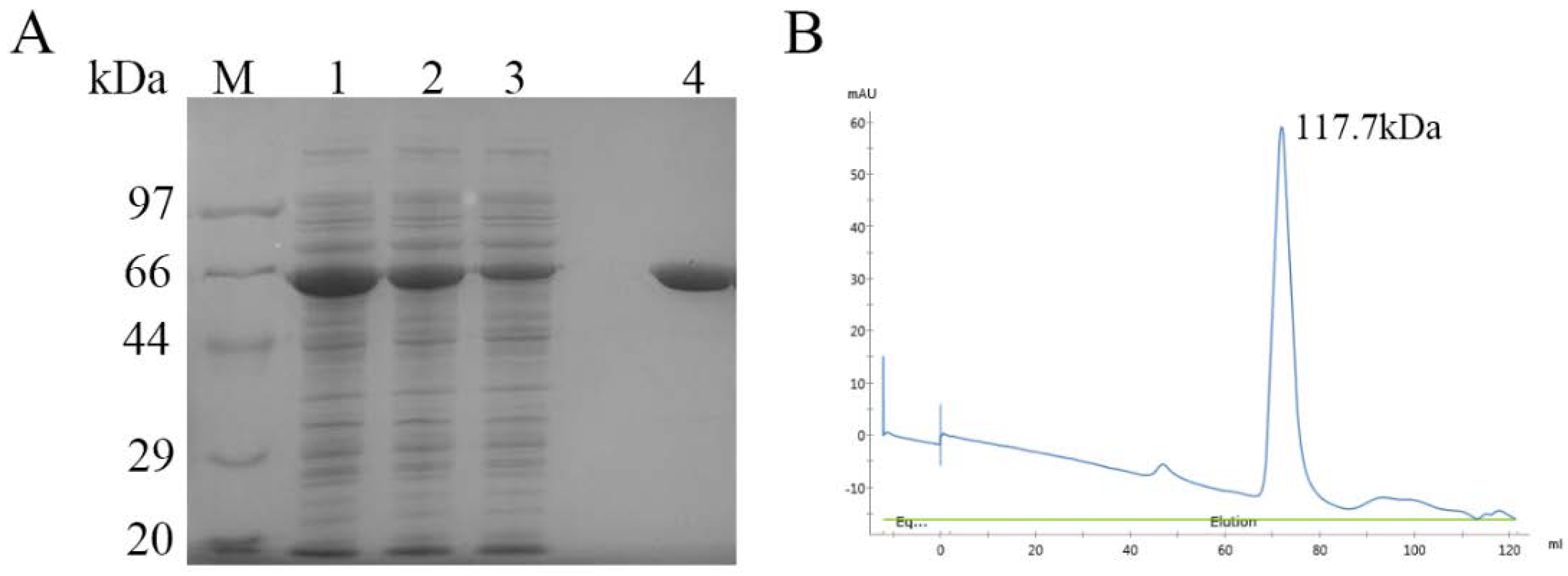 Ijms 24 00631 g002