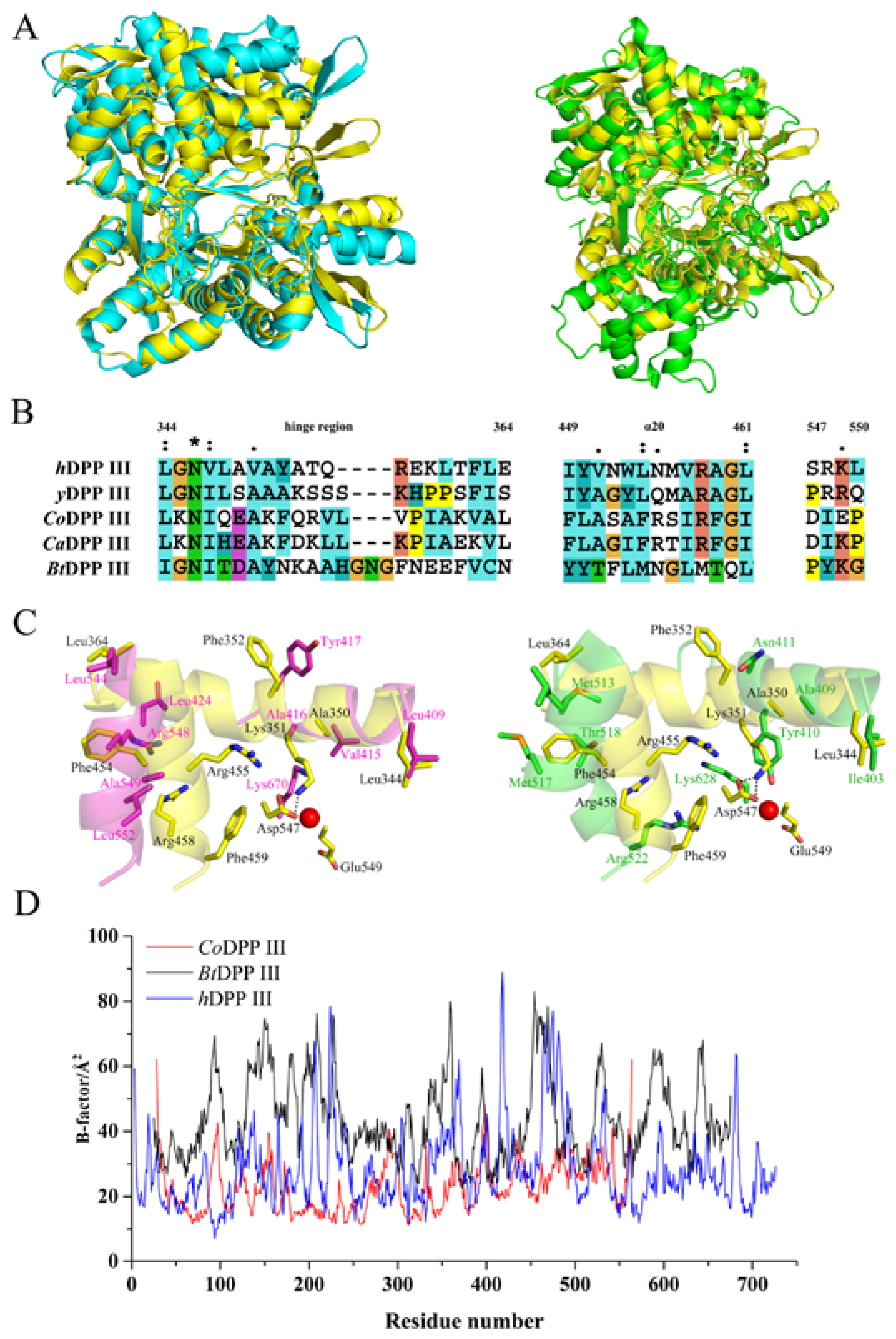 Ijms 24 00631 g006