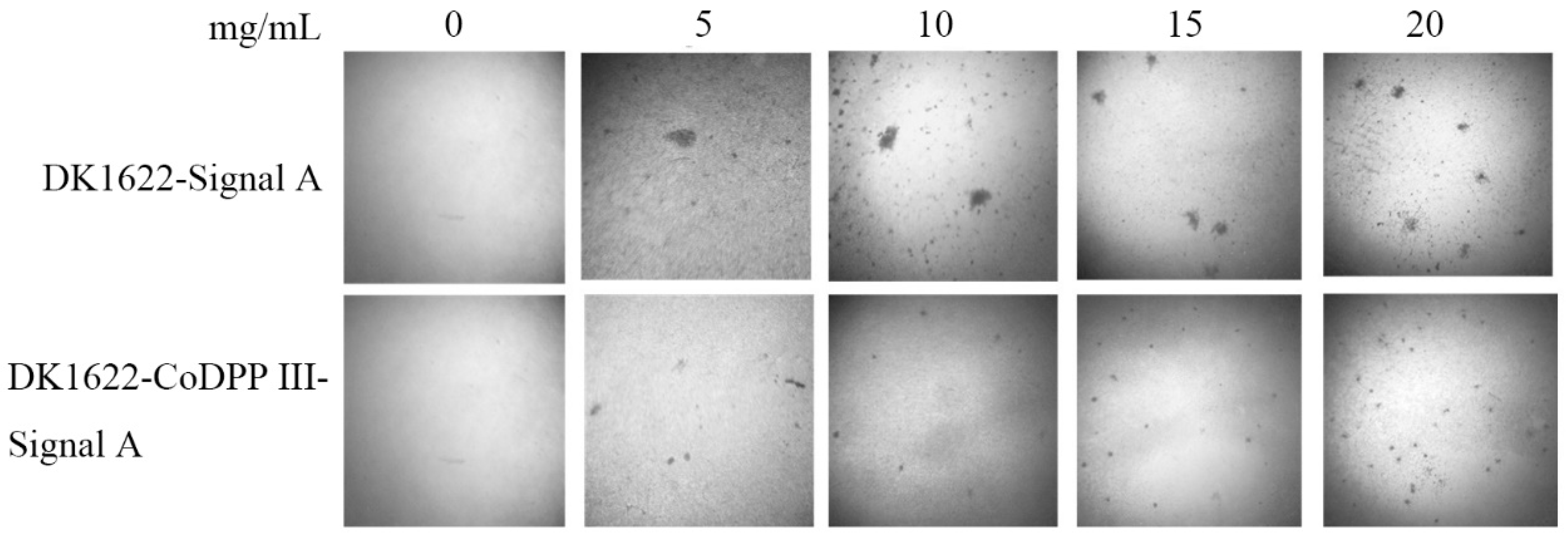 Ijms 24 00631 g010