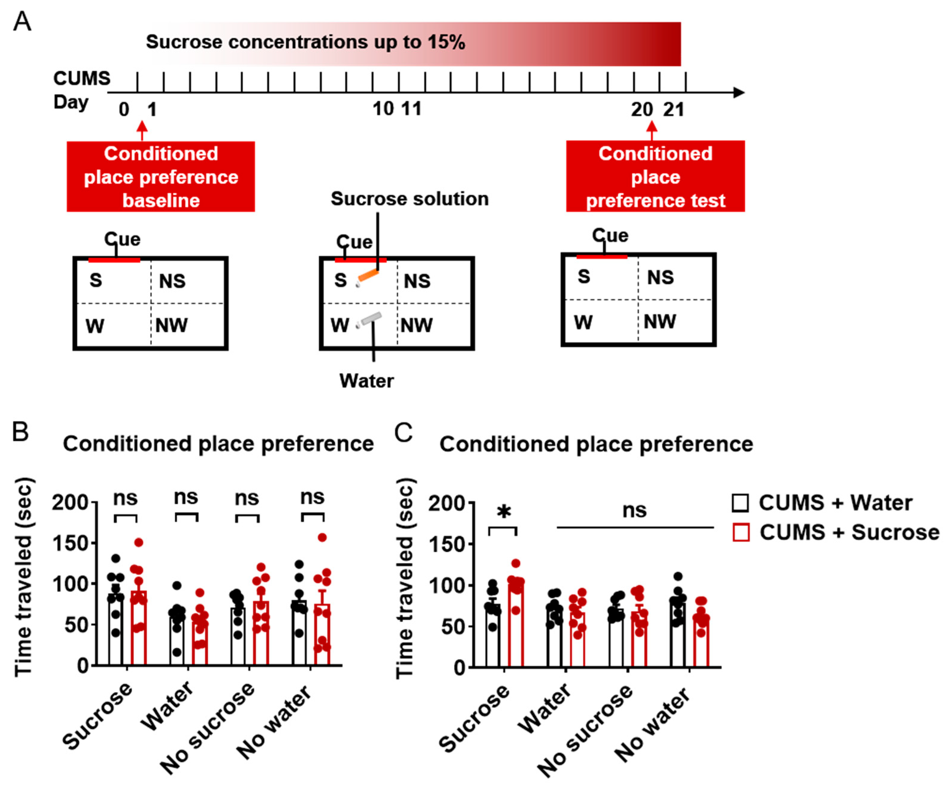 Ijms 24 00661 g004 Ijms 24 00661 g004