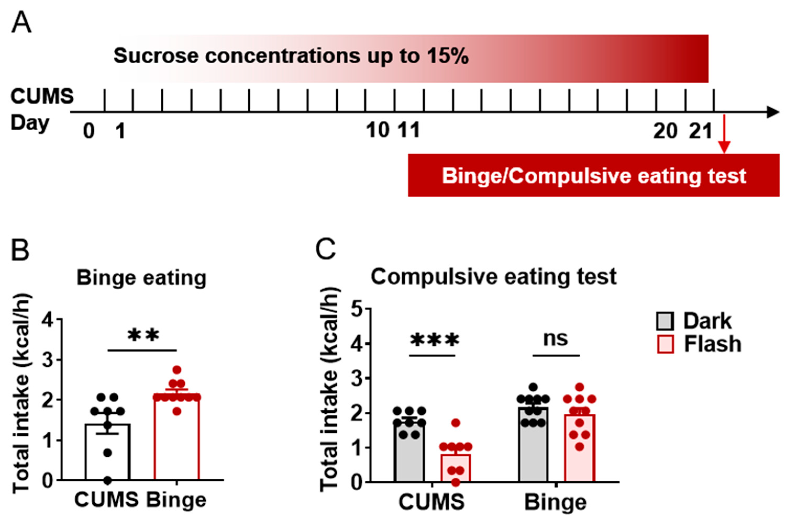 Ijms 24 00661 g005 Ijms 24 00661 g005