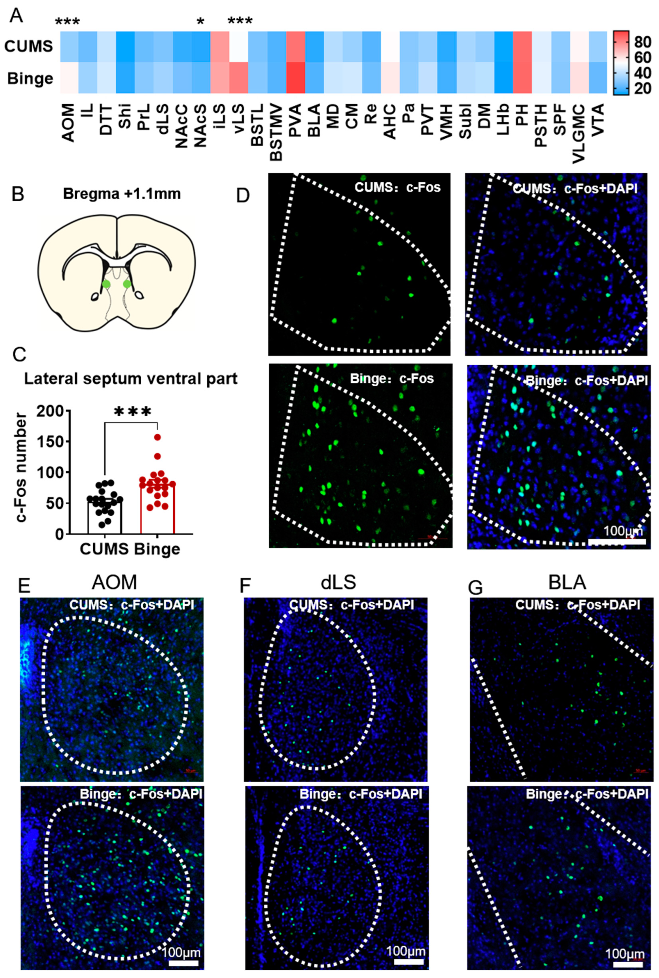 Ijms 24 00661 g006 Ijms 24 00661 g006