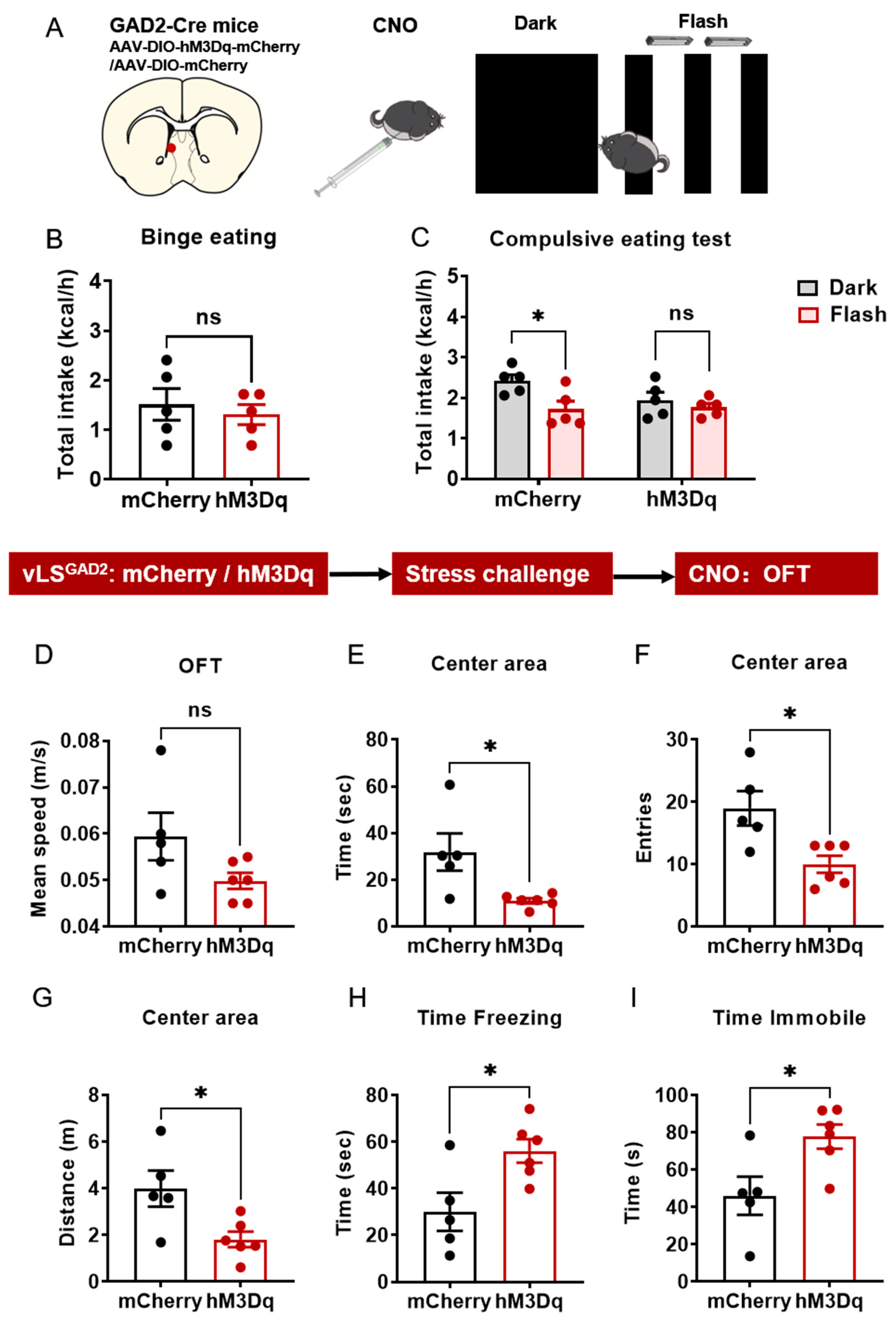 Ijms 24 00661 g007 Ijms 24 00661 g007