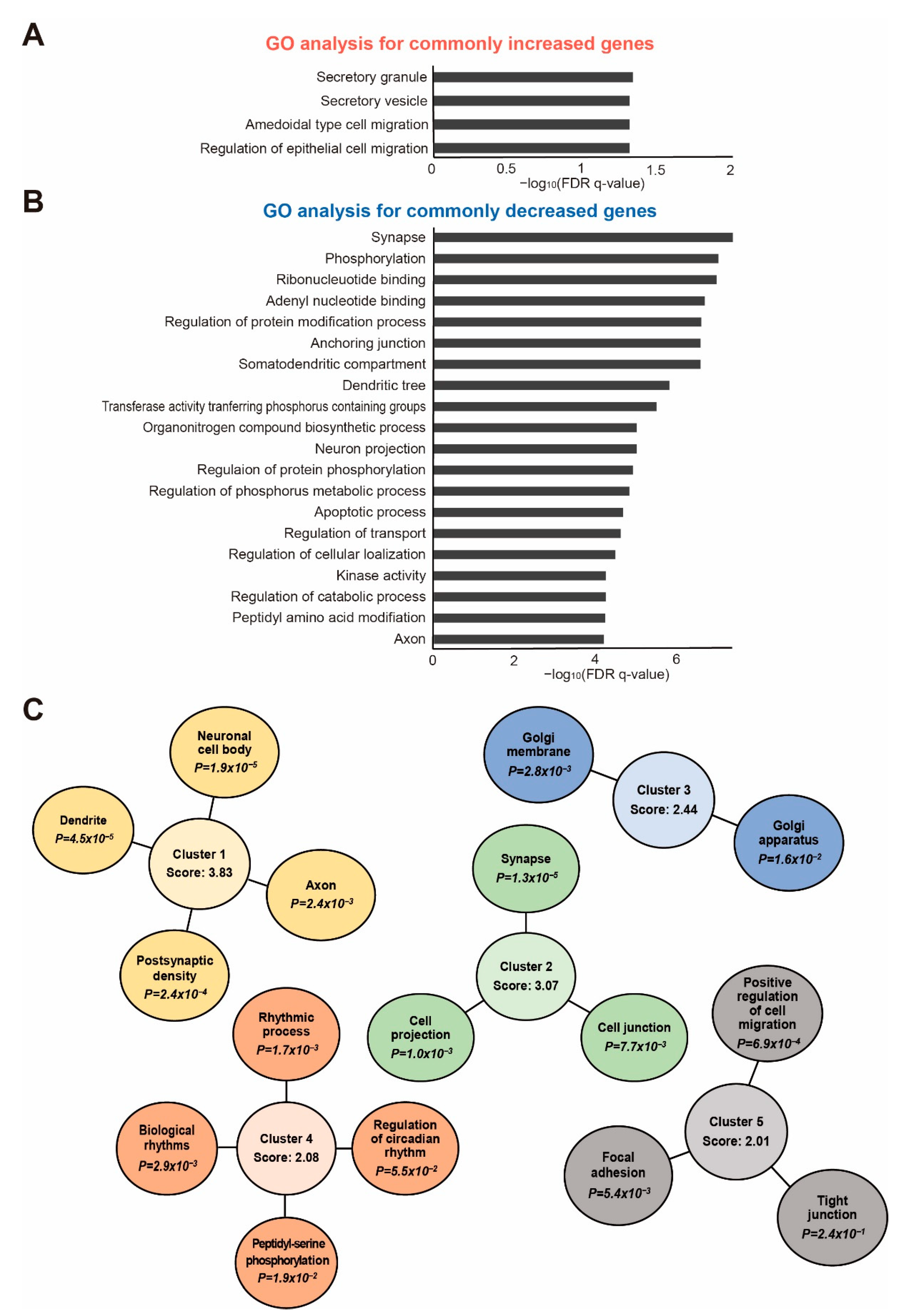 Ijms 24 00675 g003 Ijms 24 00675 g003