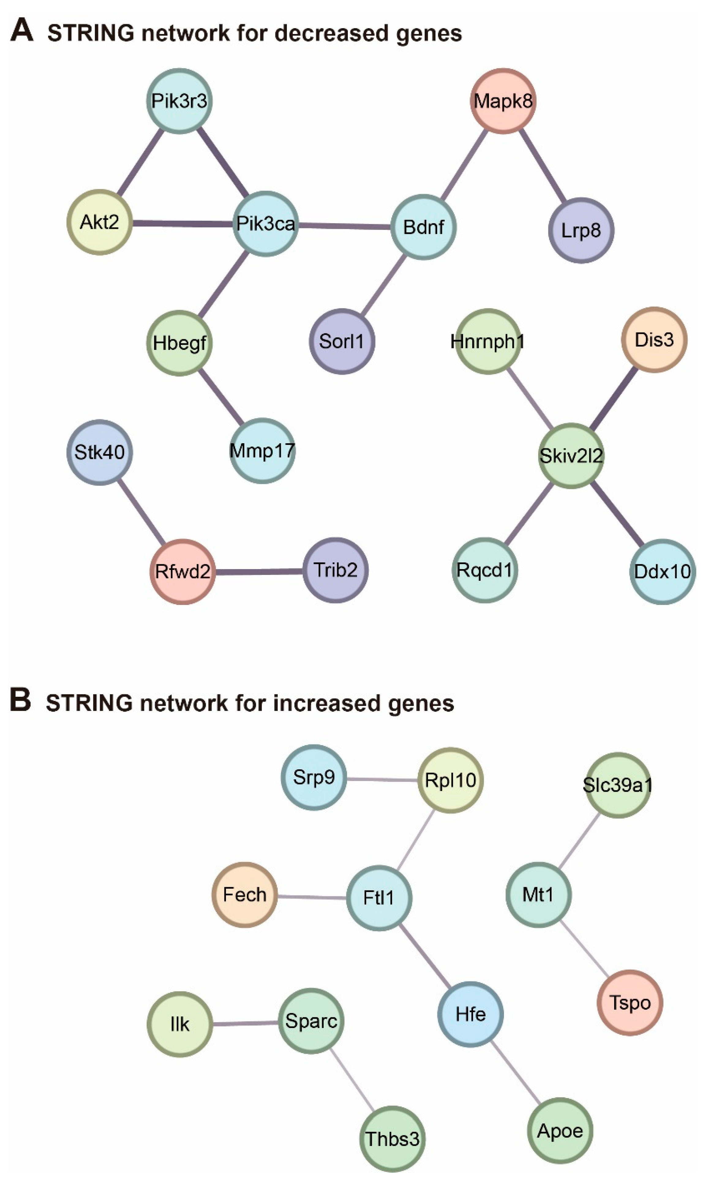 Ijms 24 00675 g004 Ijms 24 00675 g004