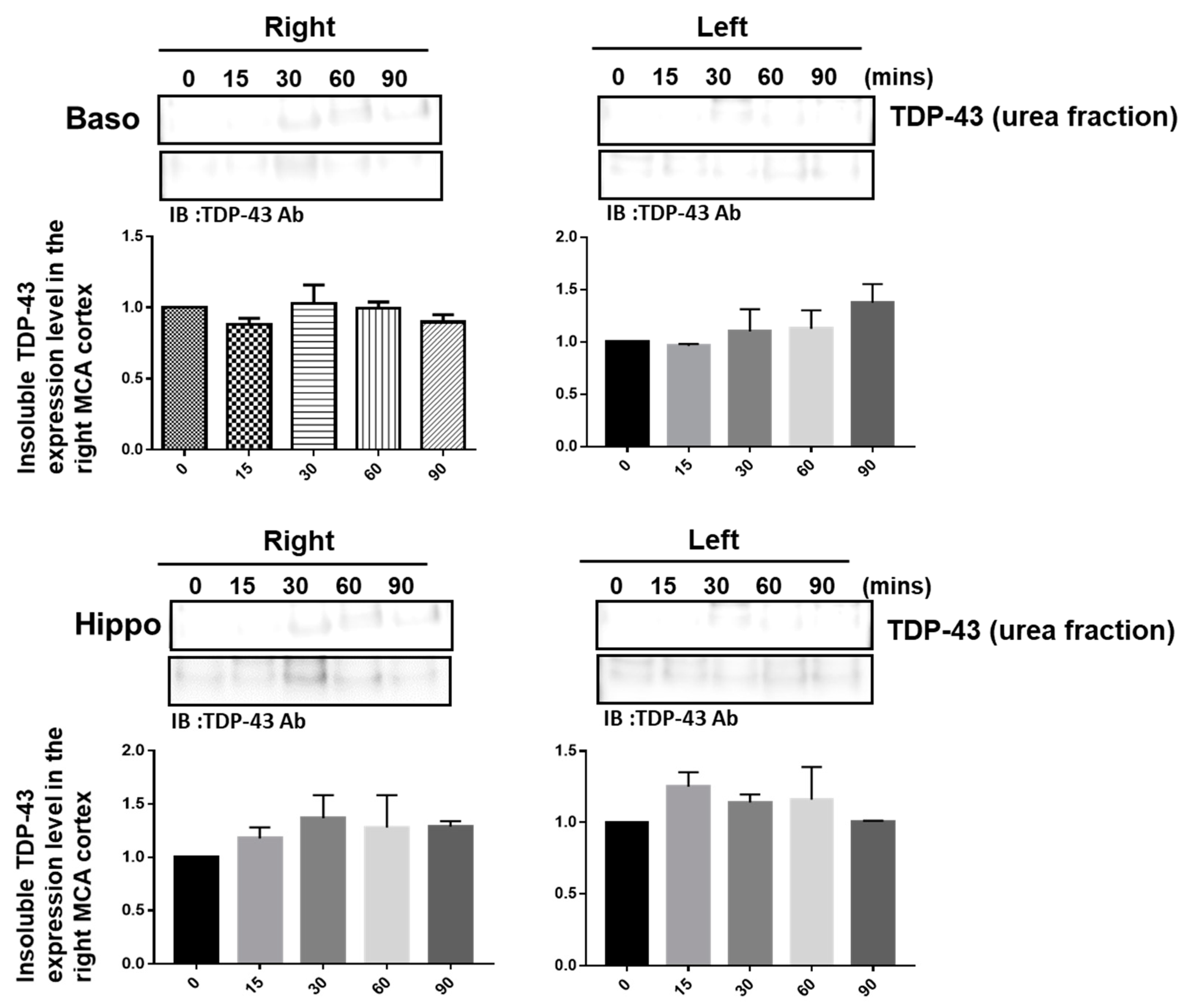Ijms 24 00676 g002 Ijms 24 00676 g002
