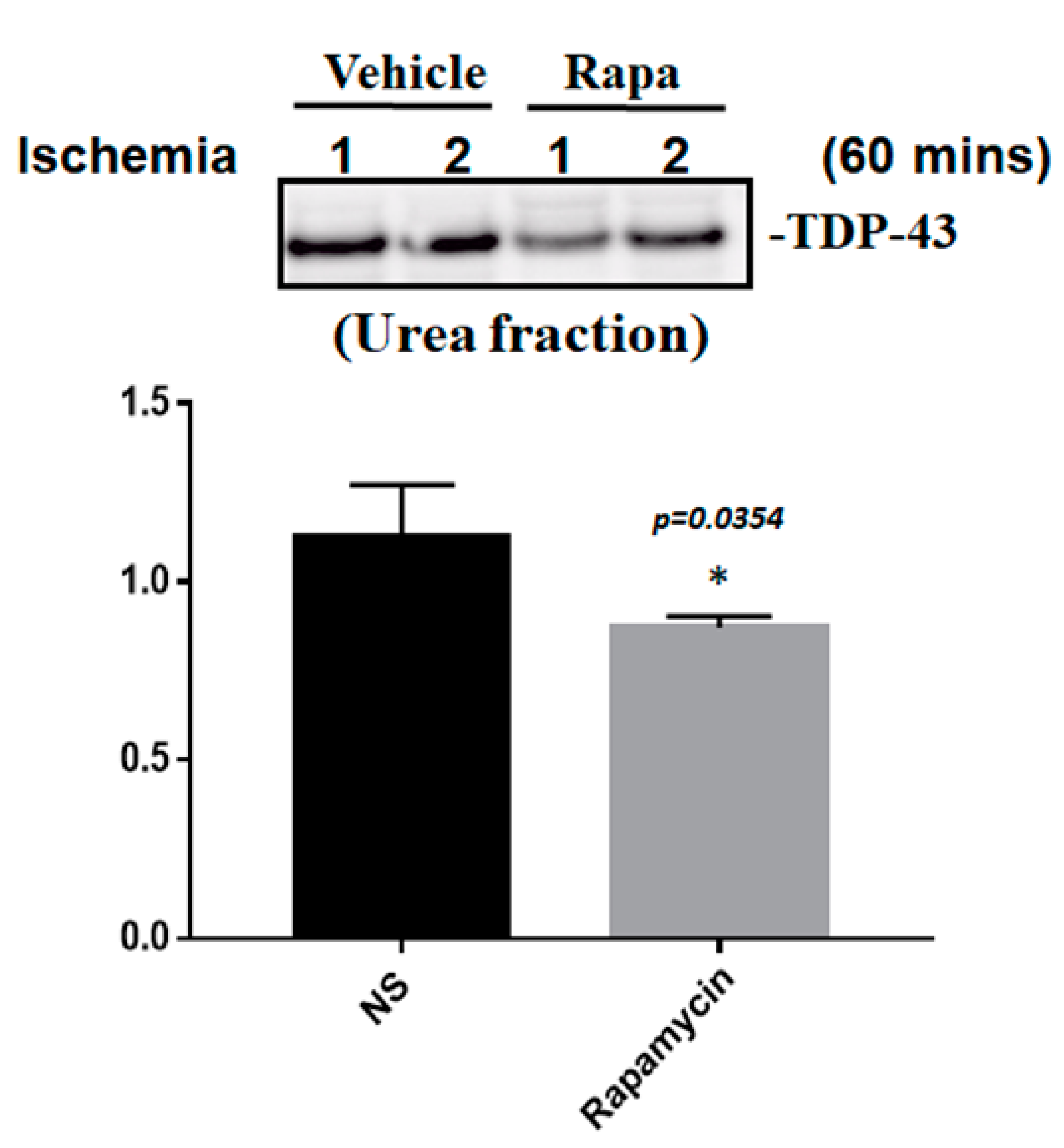 Ijms 24 00676 g010 Ijms 24 00676 g010