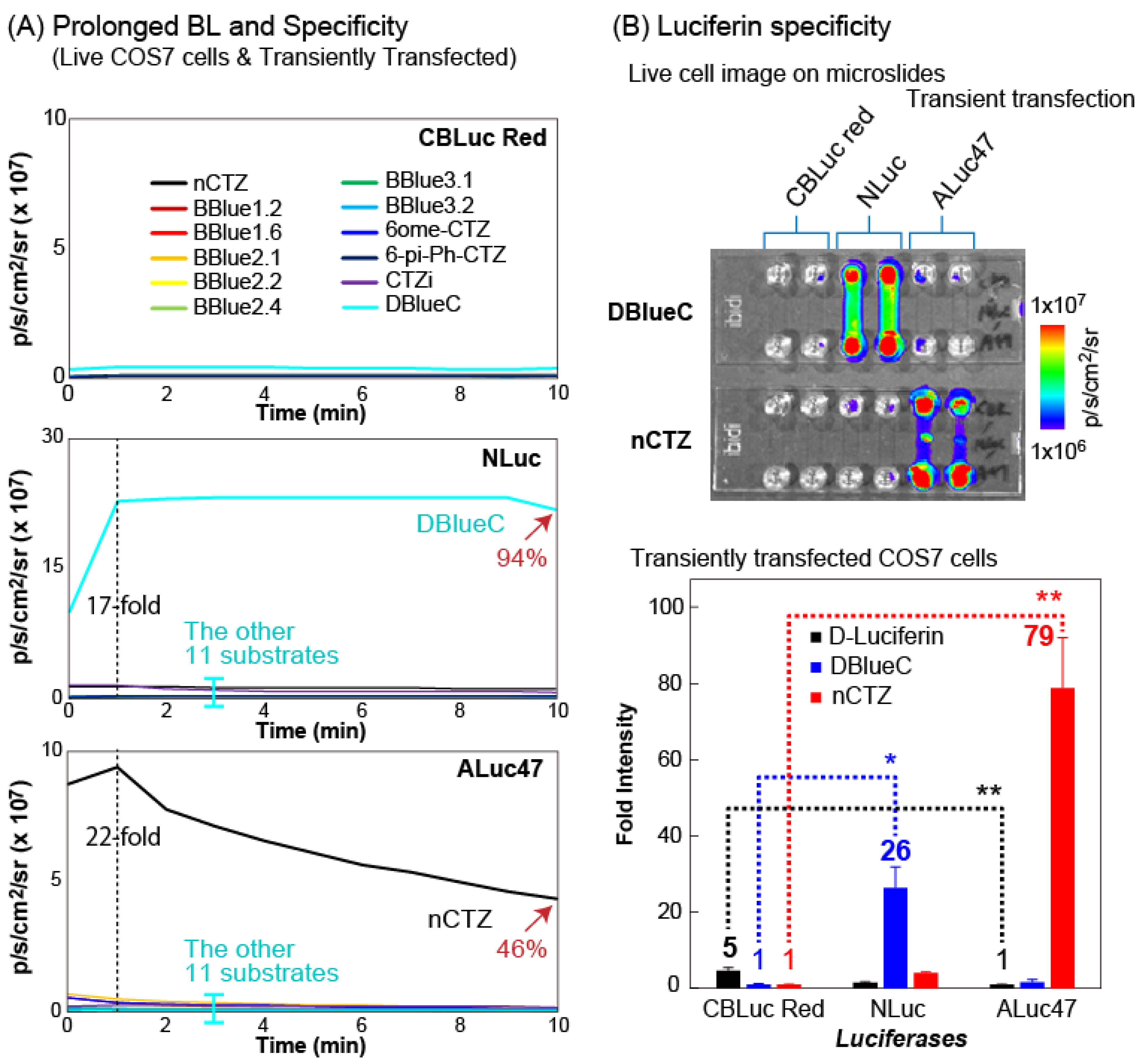 Ijms 24 00677 g002 Ijms 24 00677 g002