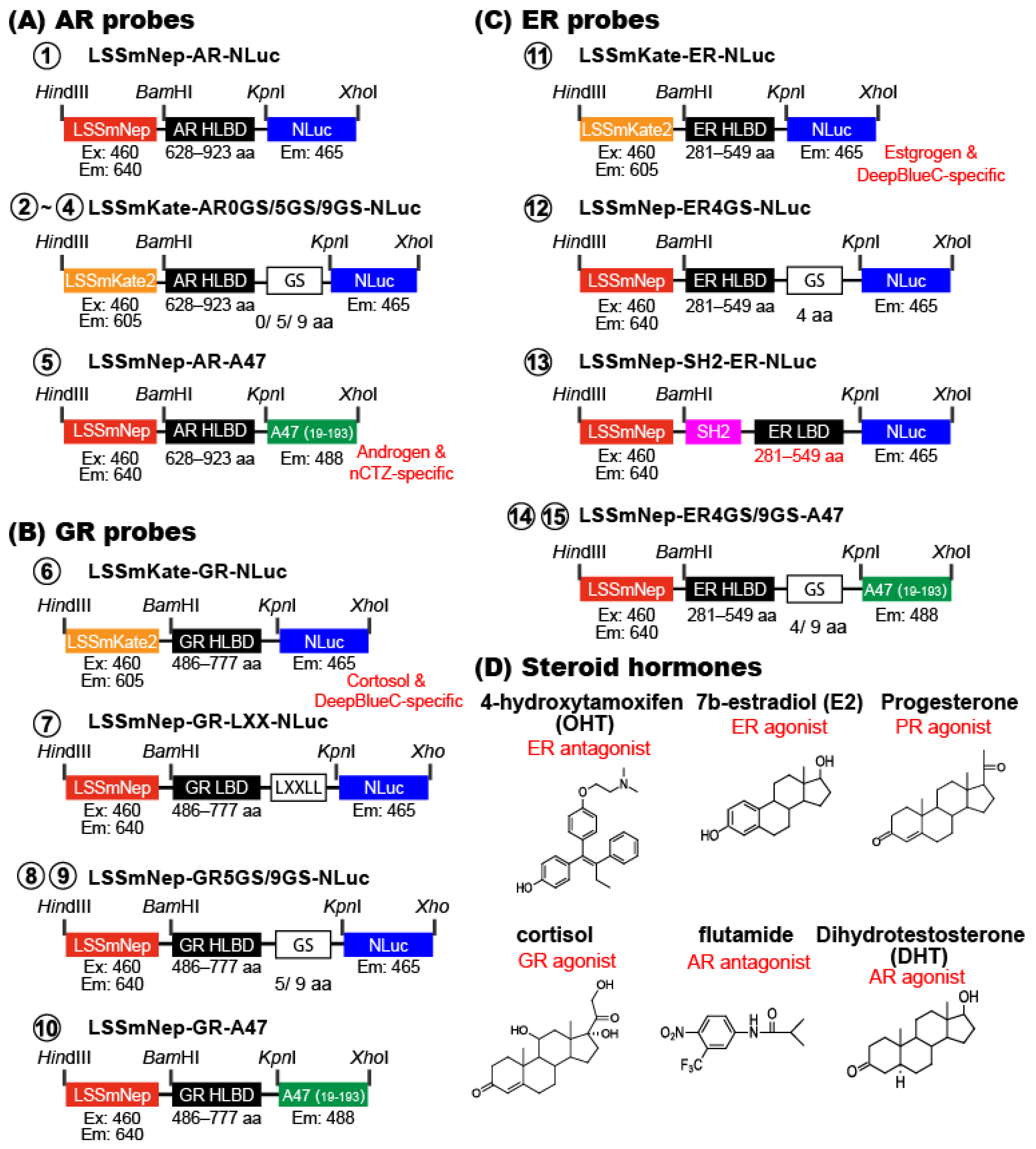 Ijms 24 00677 g004 Ijms 24 00677 g004