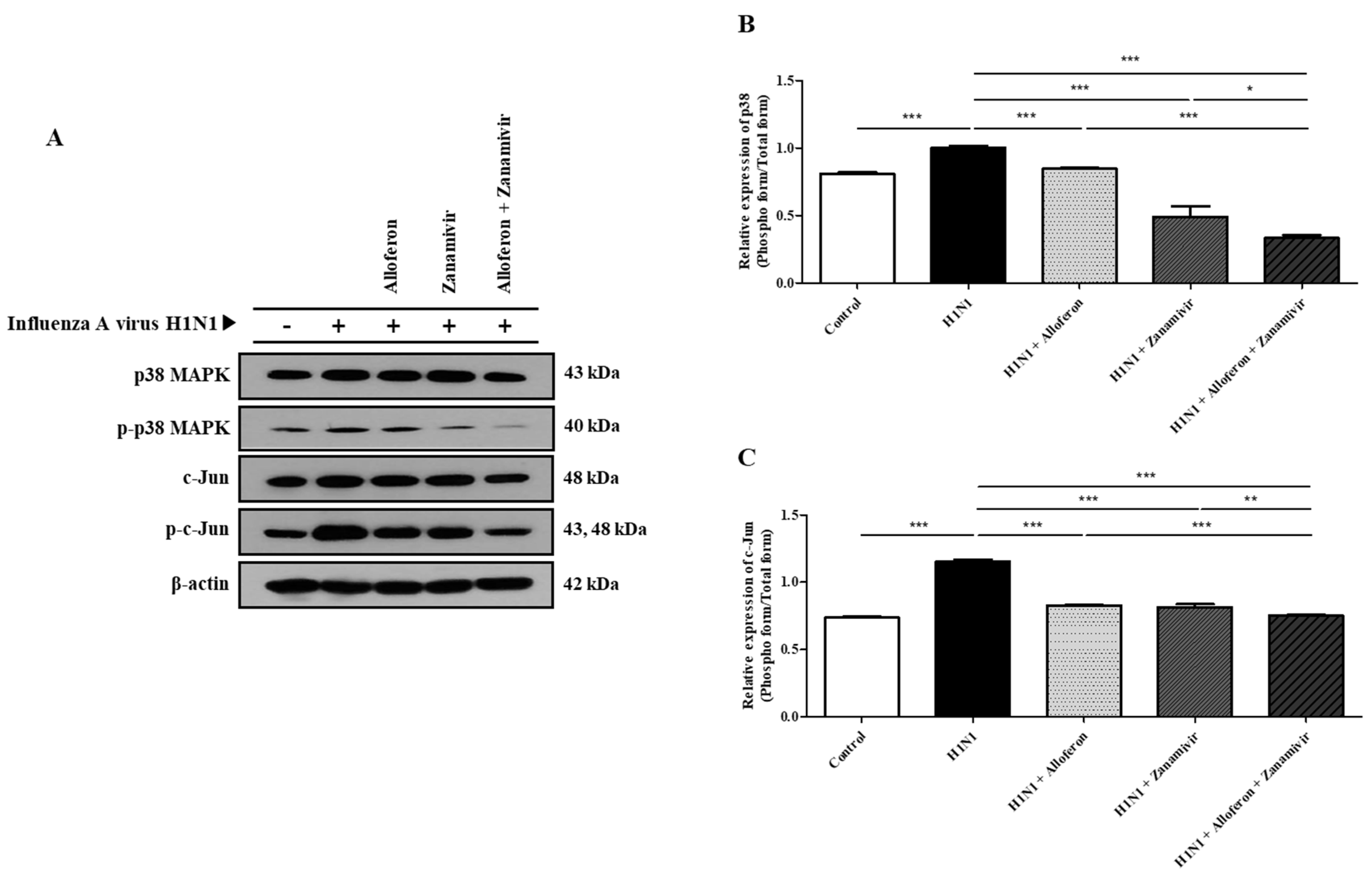 Ijms 24 00678 g007 Ijms 24 00678 g007