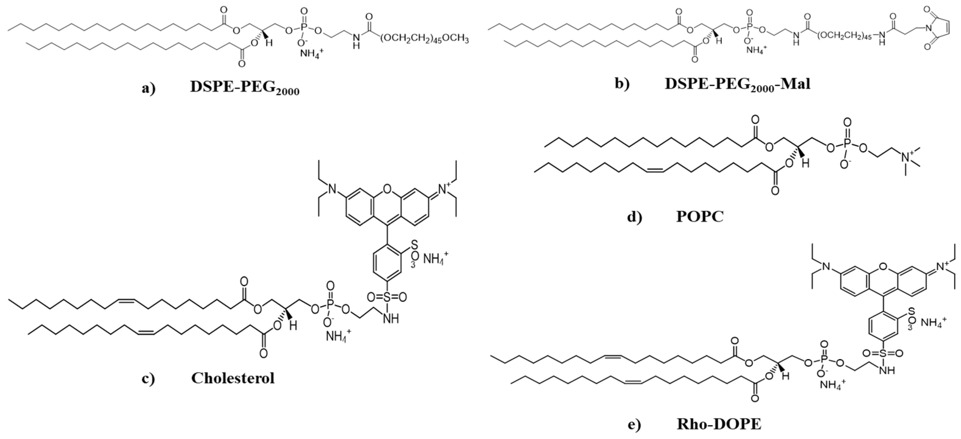 Ijms 24 00685 sch002