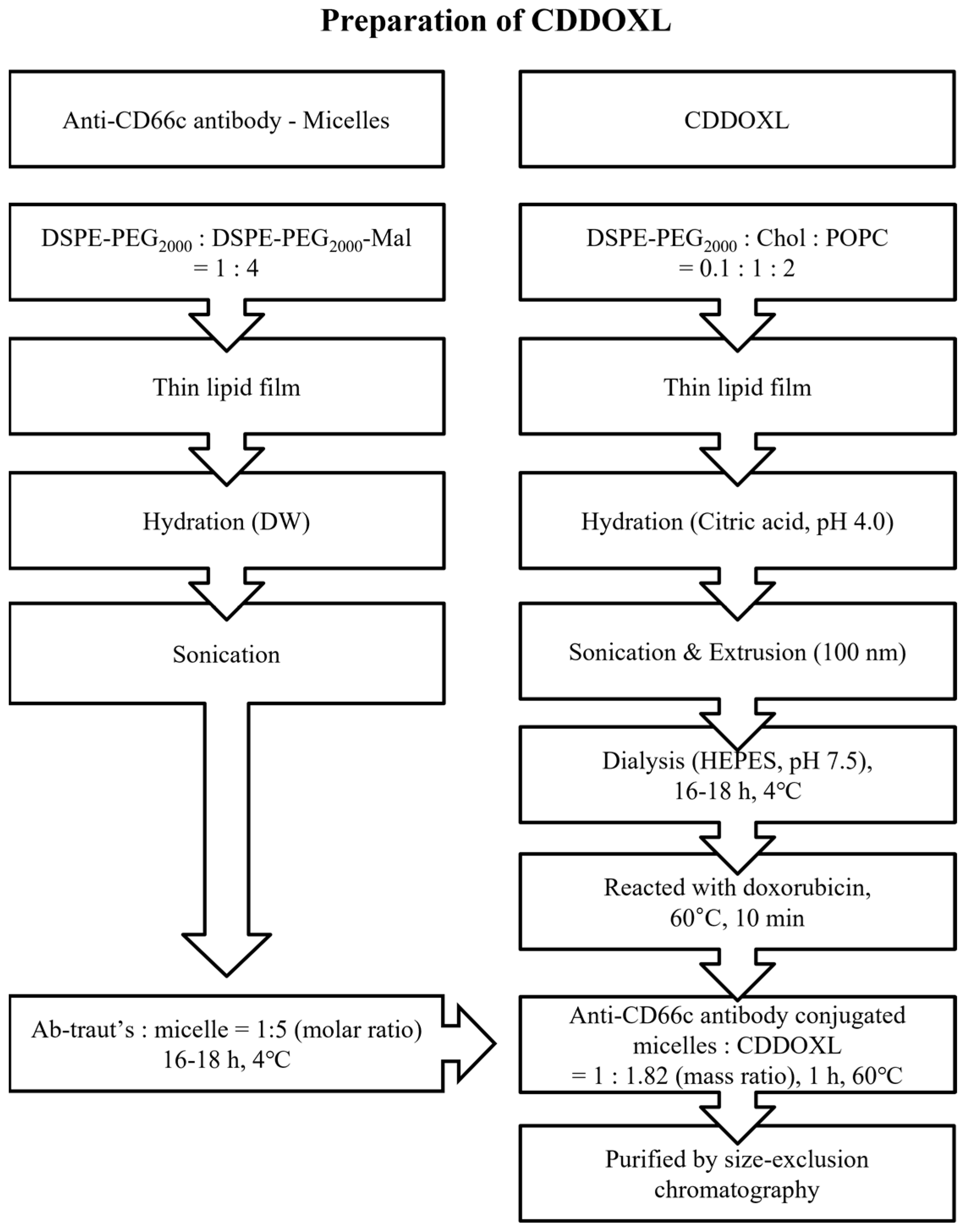 Ijms 24 00685 sch004