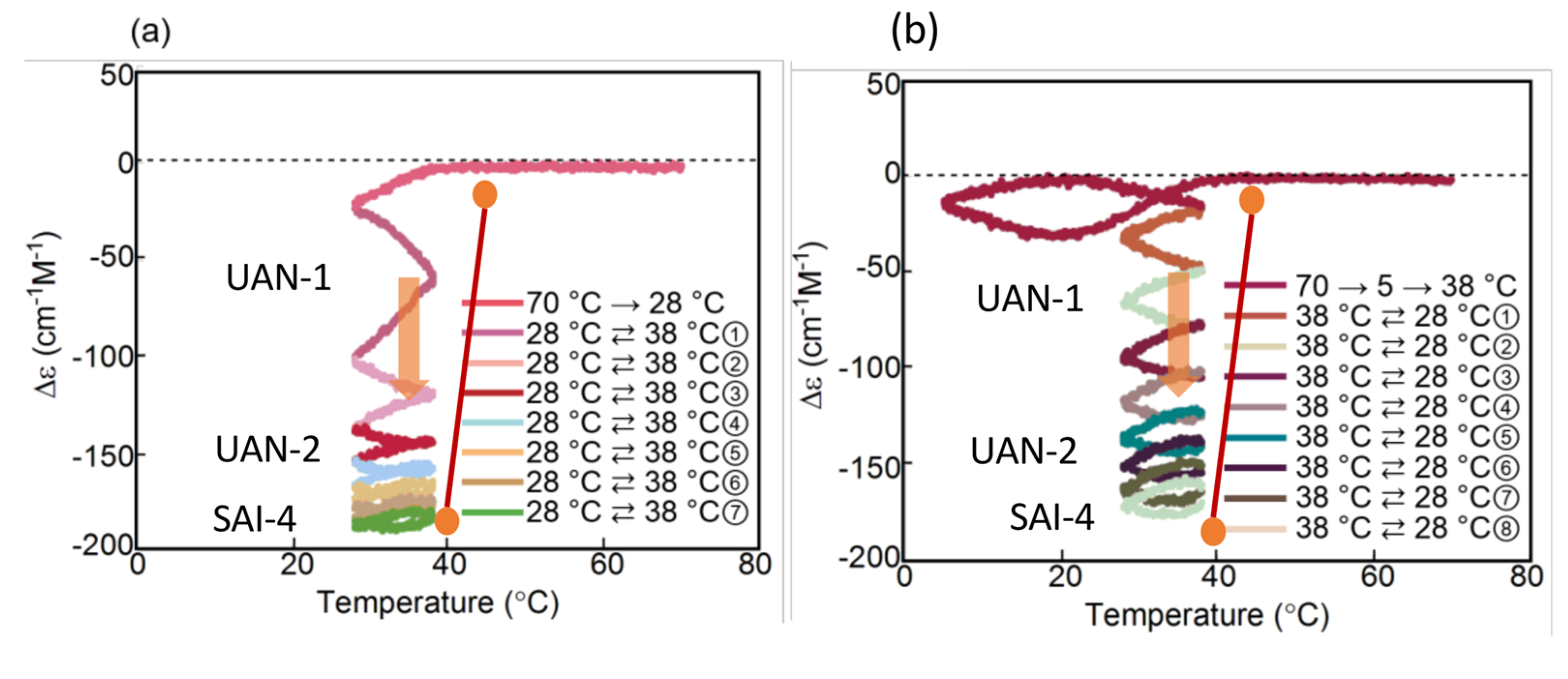 Ijms 24 00693 g020 Ijms 24 00693 g020