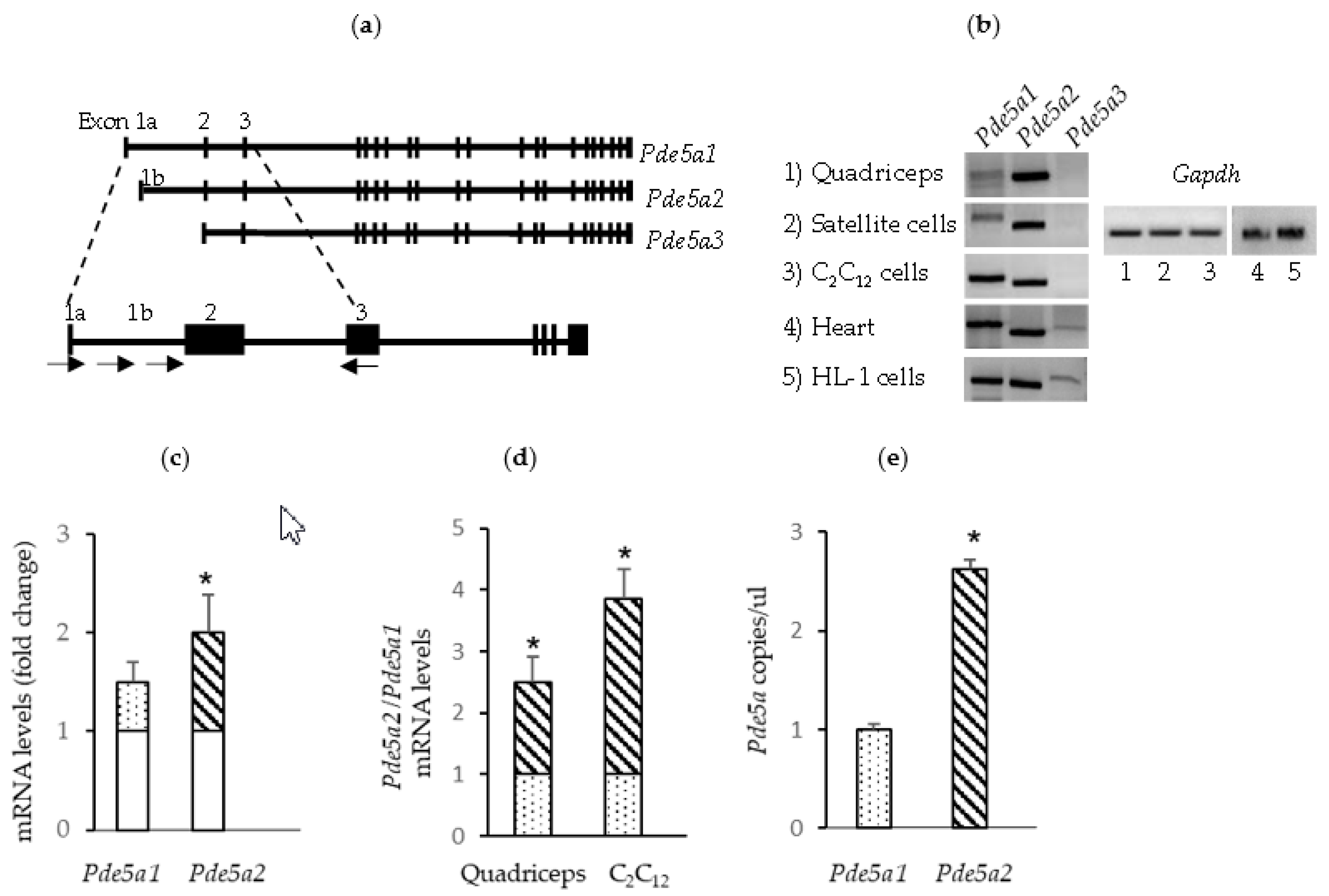 Ijms 24 00703 g001 Ijms 24 00703 g001