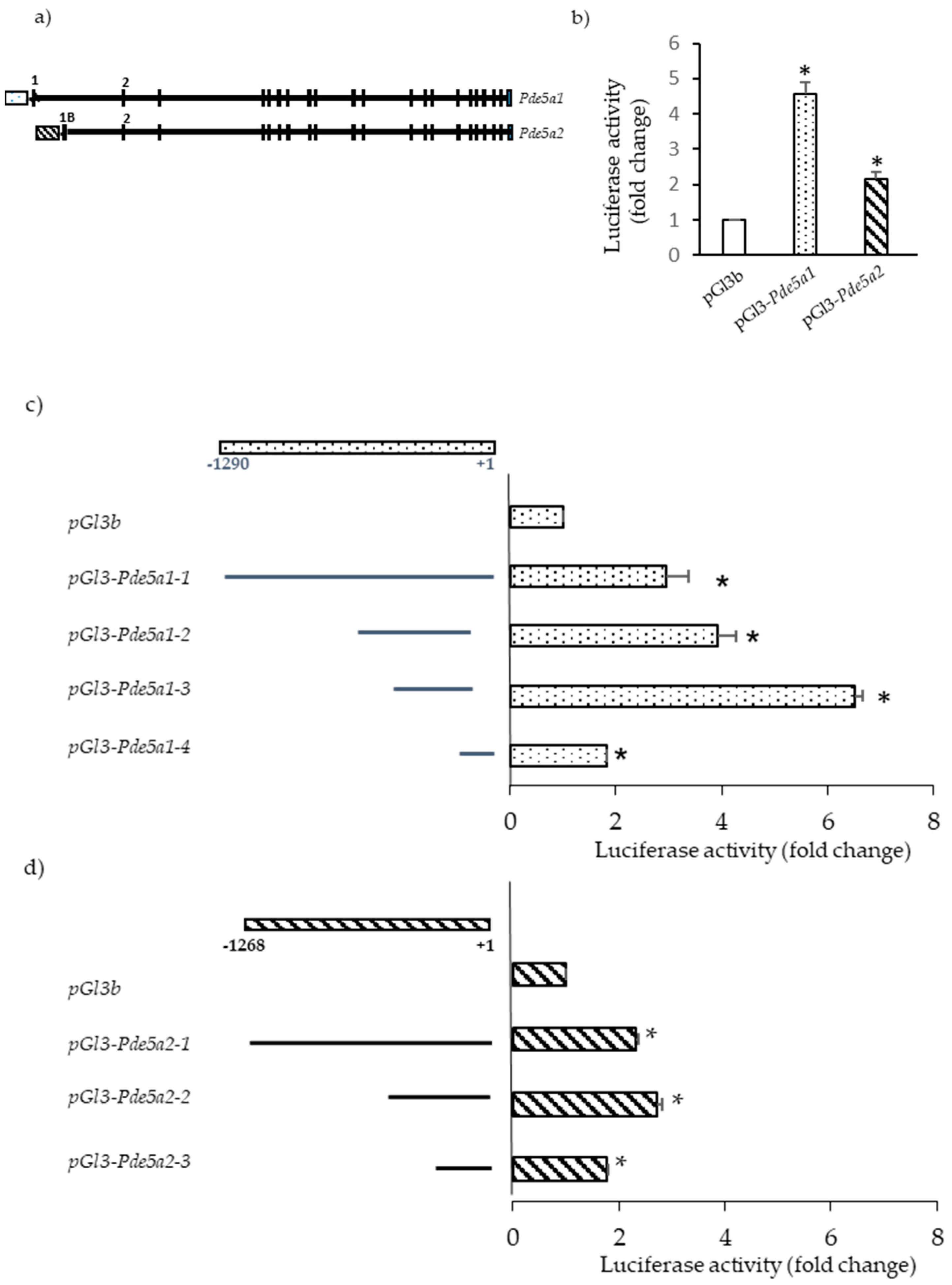 Ijms 24 00703 g003 Ijms 24 00703 g003