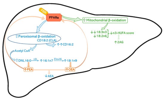 Ijms 24 00709 sch001