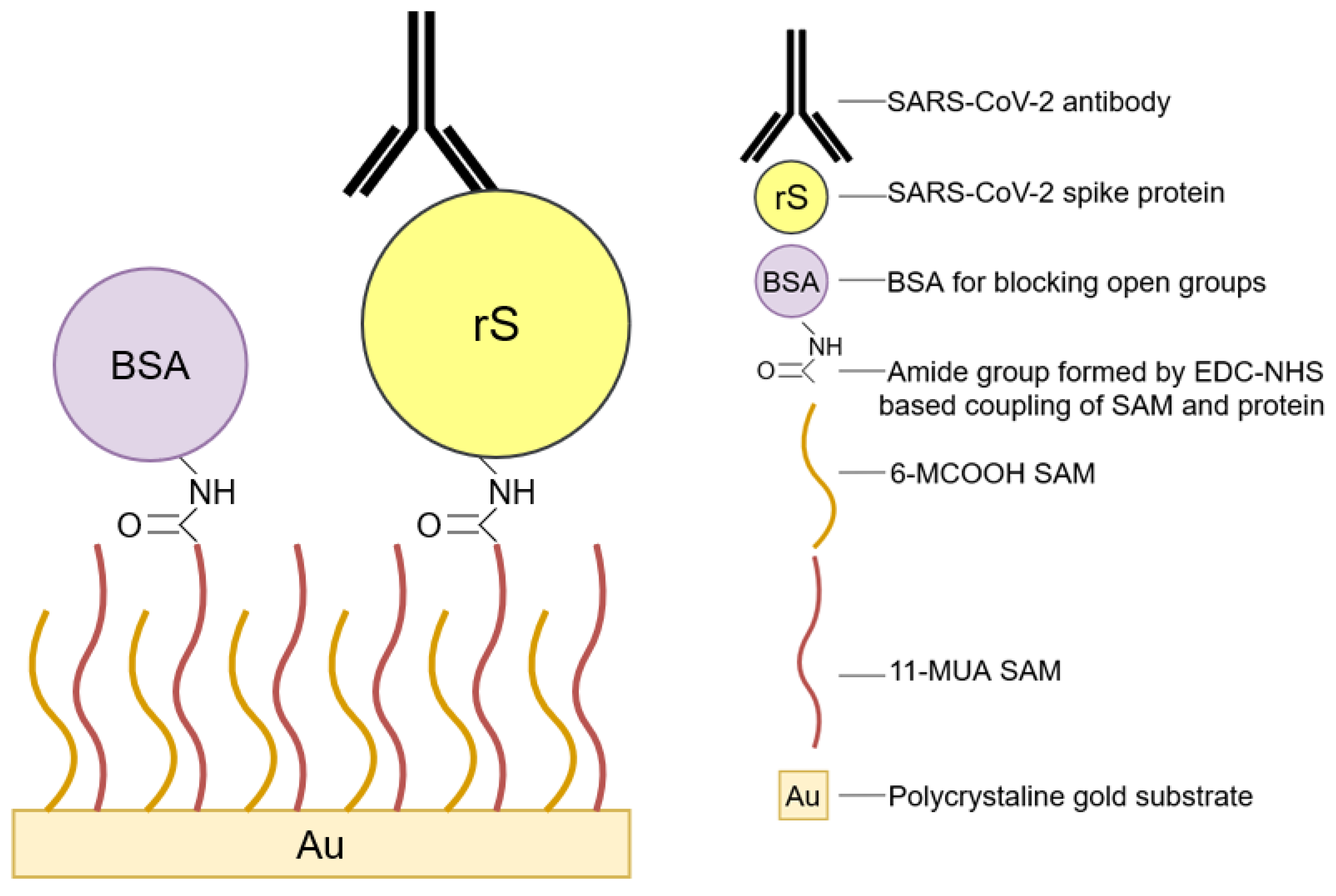 Ijms 24 00718 sch001 Ijms 24 00718 sch001