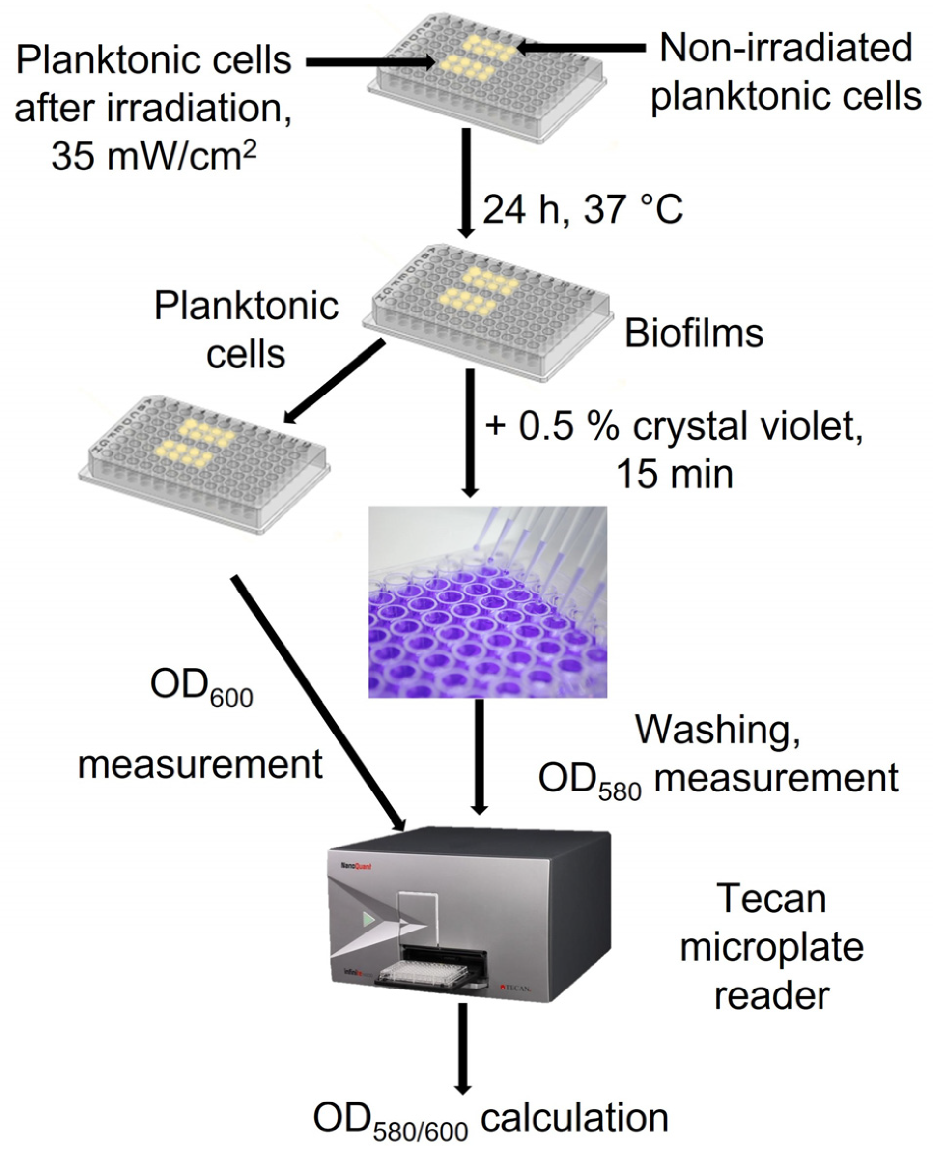 Ijms 24 00722 g008 Ijms 24 00722 g008