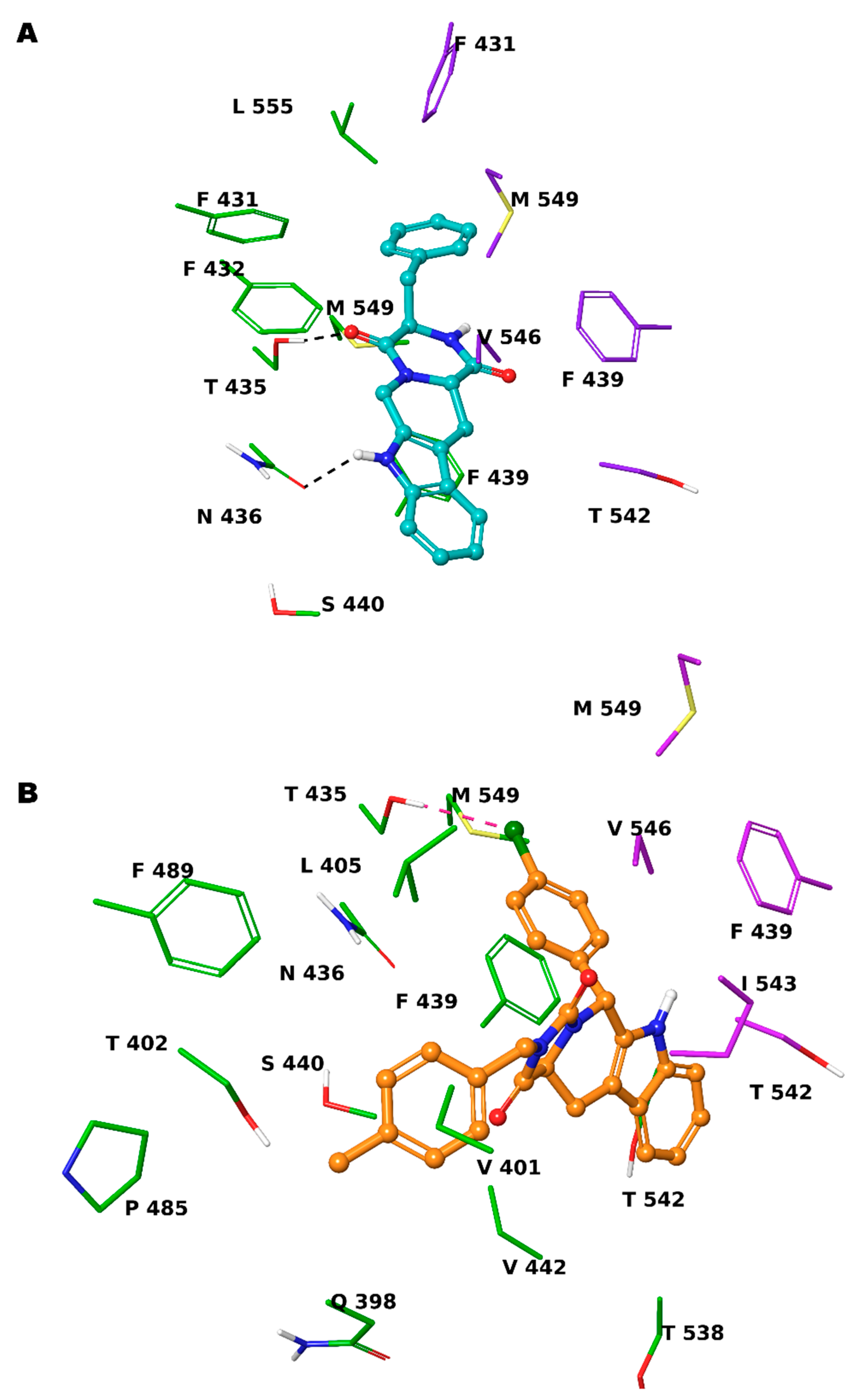 Ijms 24 00725 g003 Ijms 24 00725 g003
