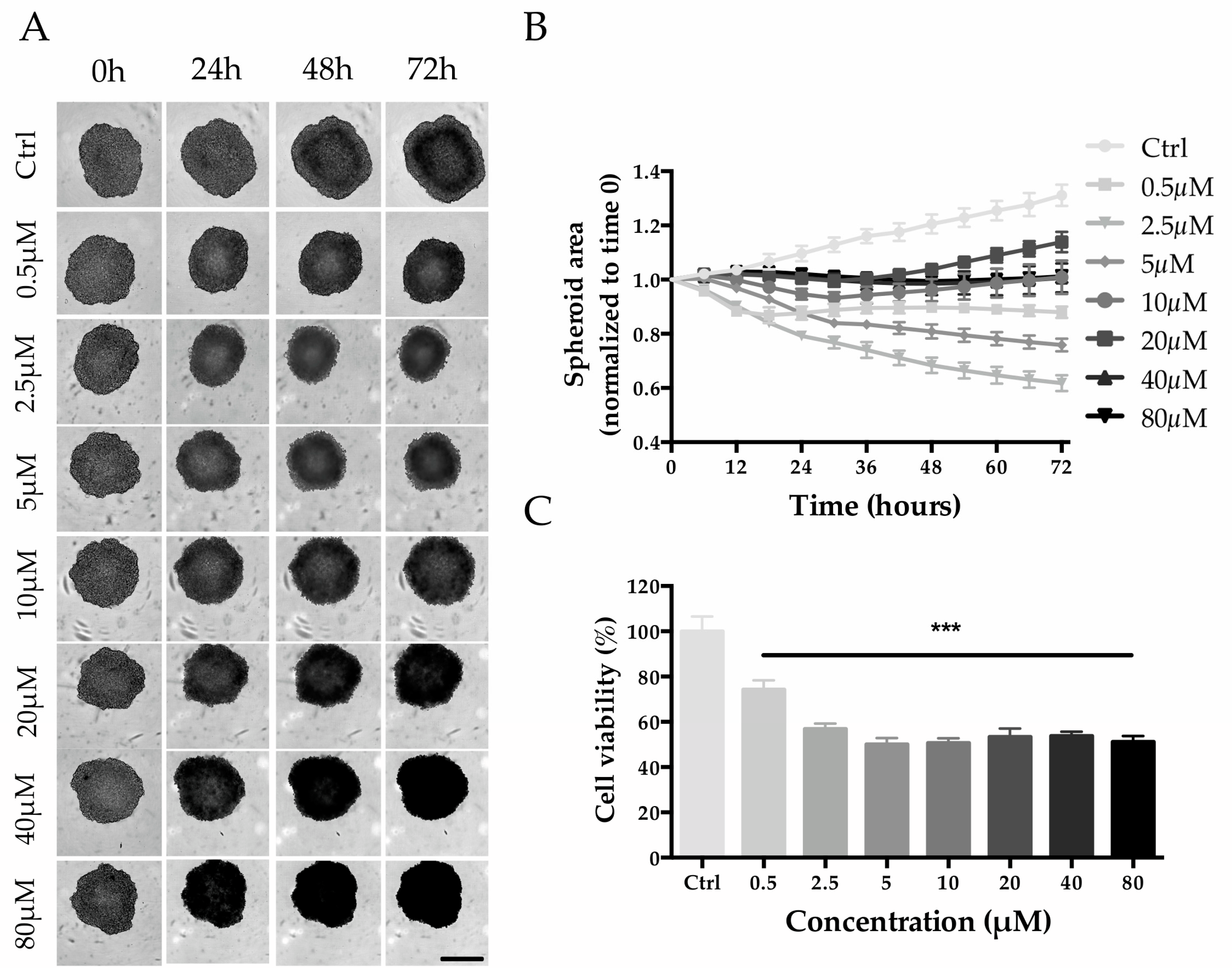 Ijms 24 00725 g008 Ijms 24 00725 g008