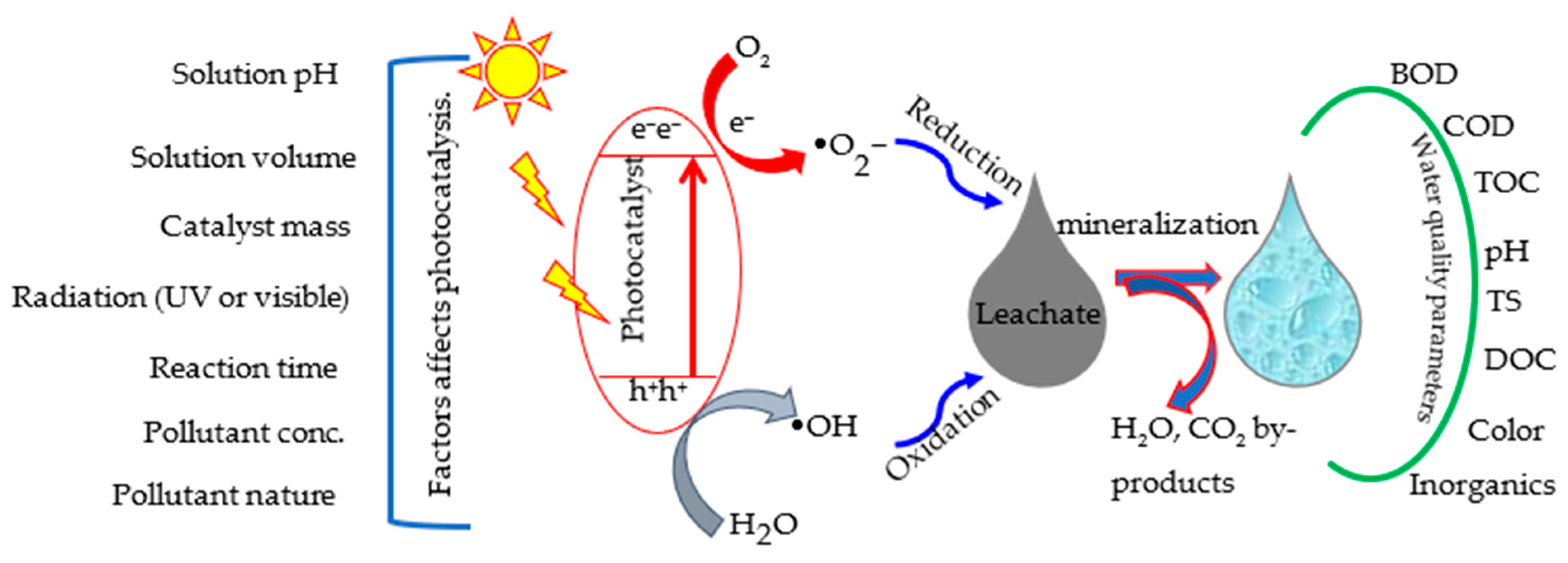 Ijms 24 00763 g007 Ijms 24 00763 g007