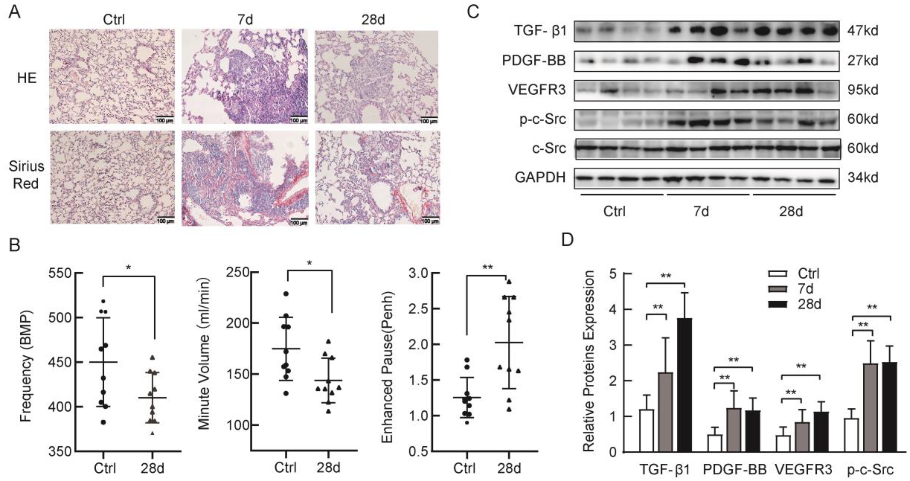 Ijms 24 00774 g001 Ijms 24 00774 g001