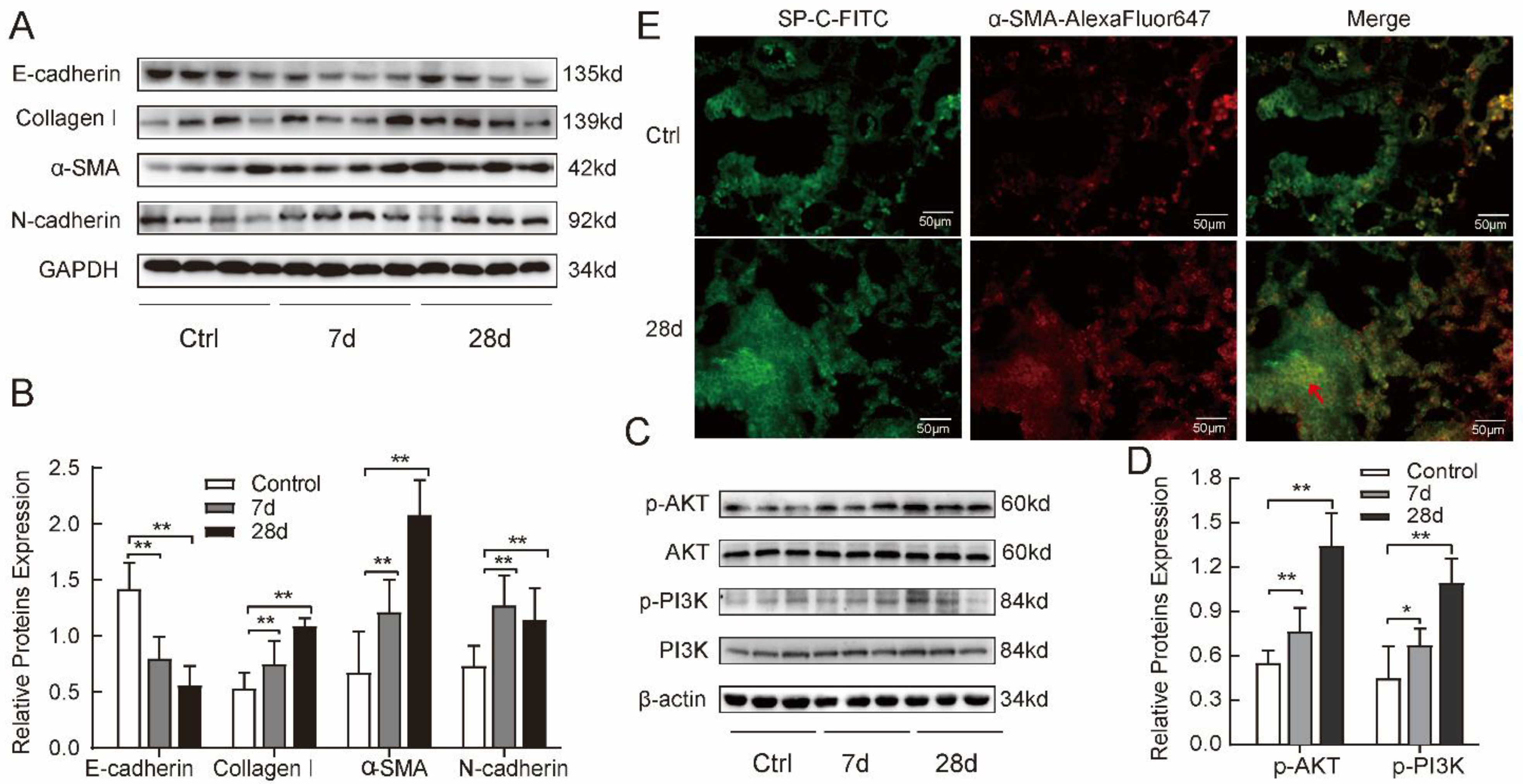 Ijms 24 00774 g002 Ijms 24 00774 g002