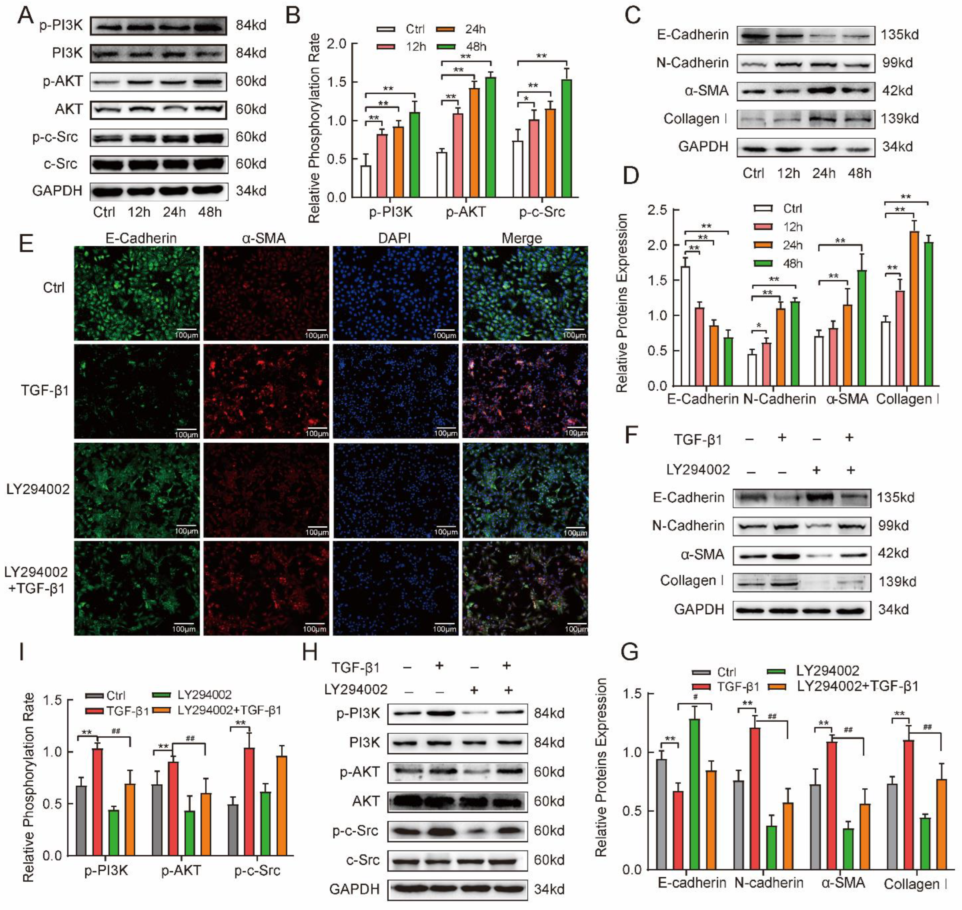 Ijms 24 00774 g004 Ijms 24 00774 g004