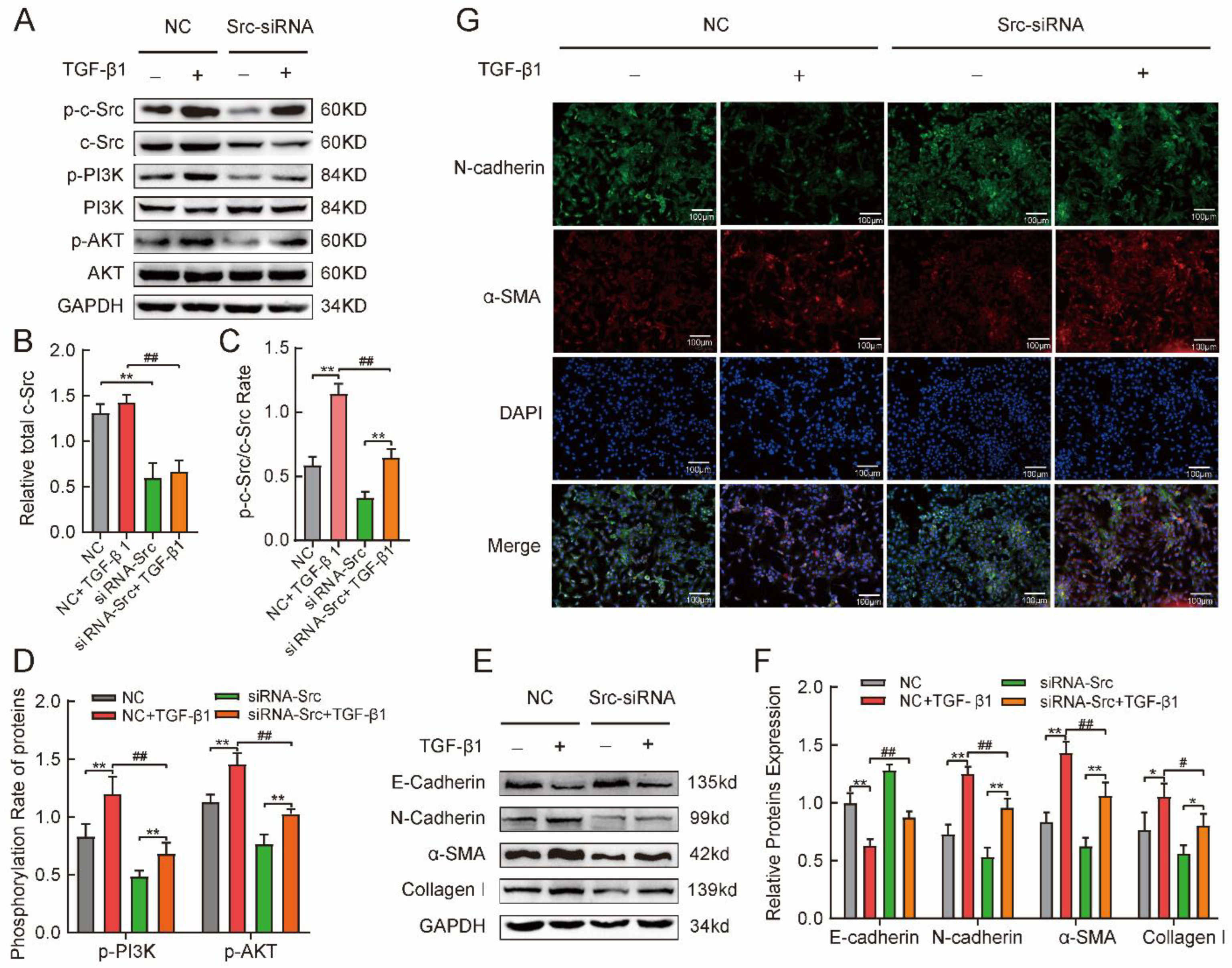 Ijms 24 00774 g005 Ijms 24 00774 g005