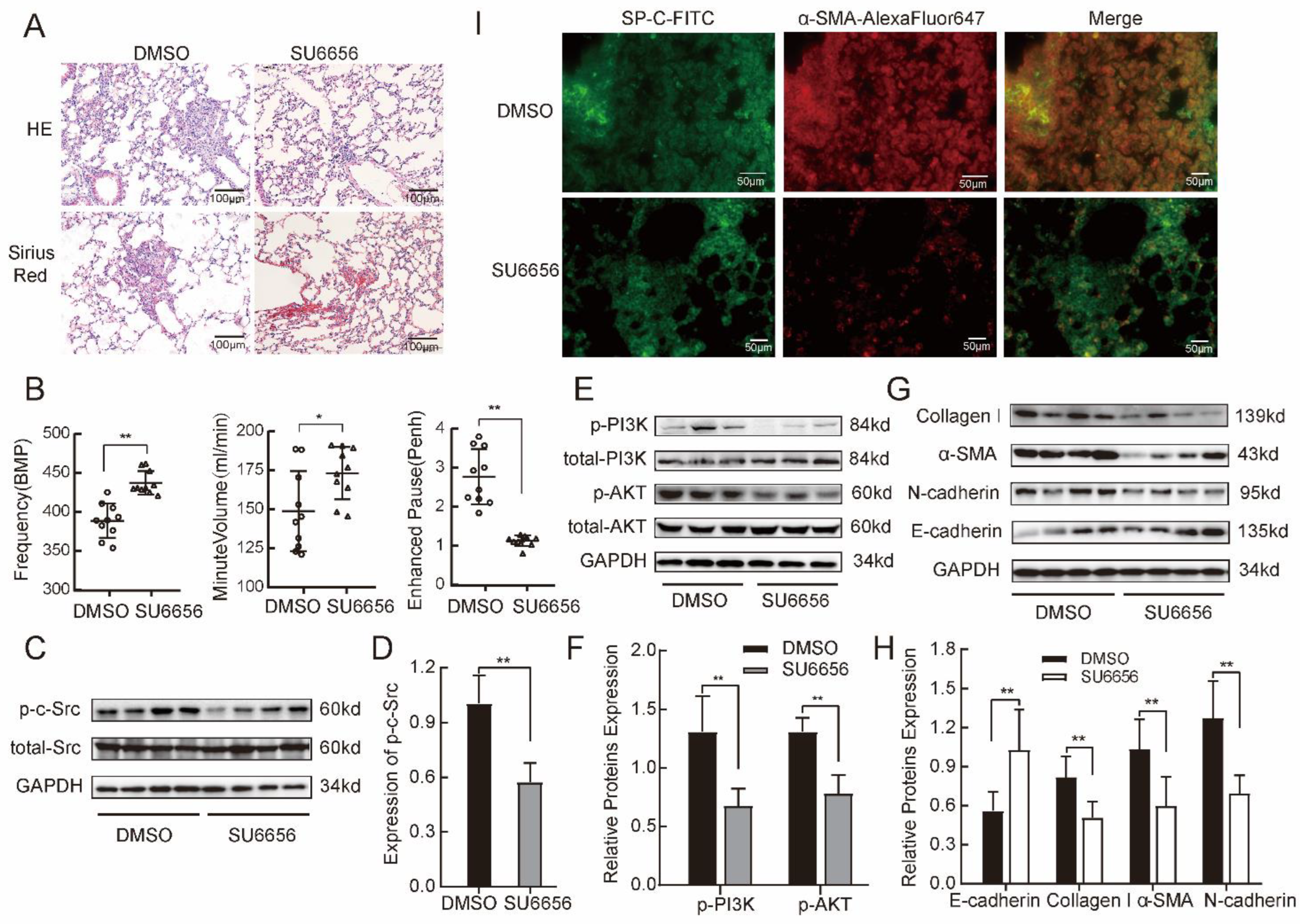 Ijms 24 00774 g006 Ijms 24 00774 g006