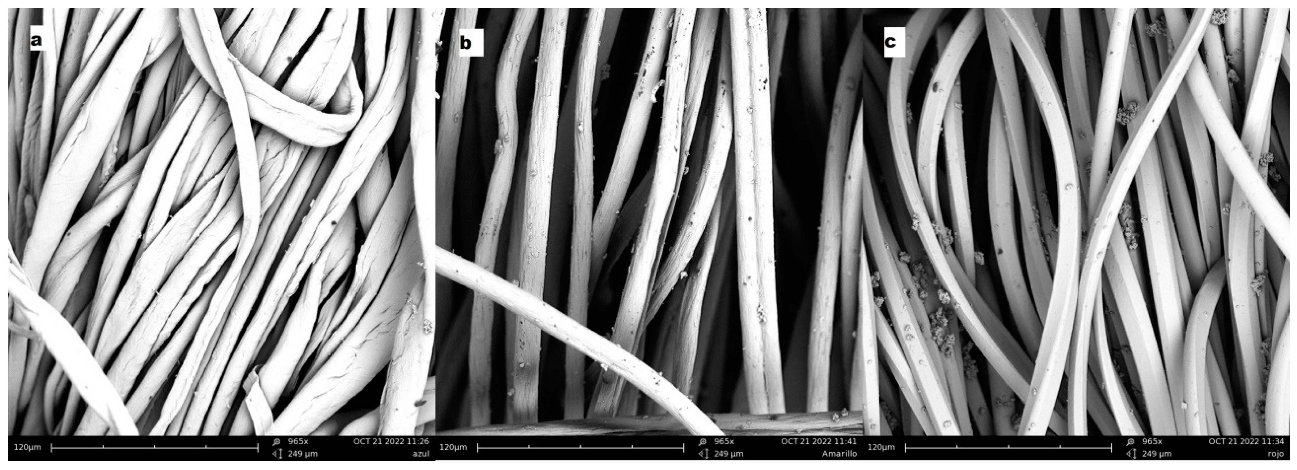 Ijms 24 00808 g008 Ijms 24 00808 g008