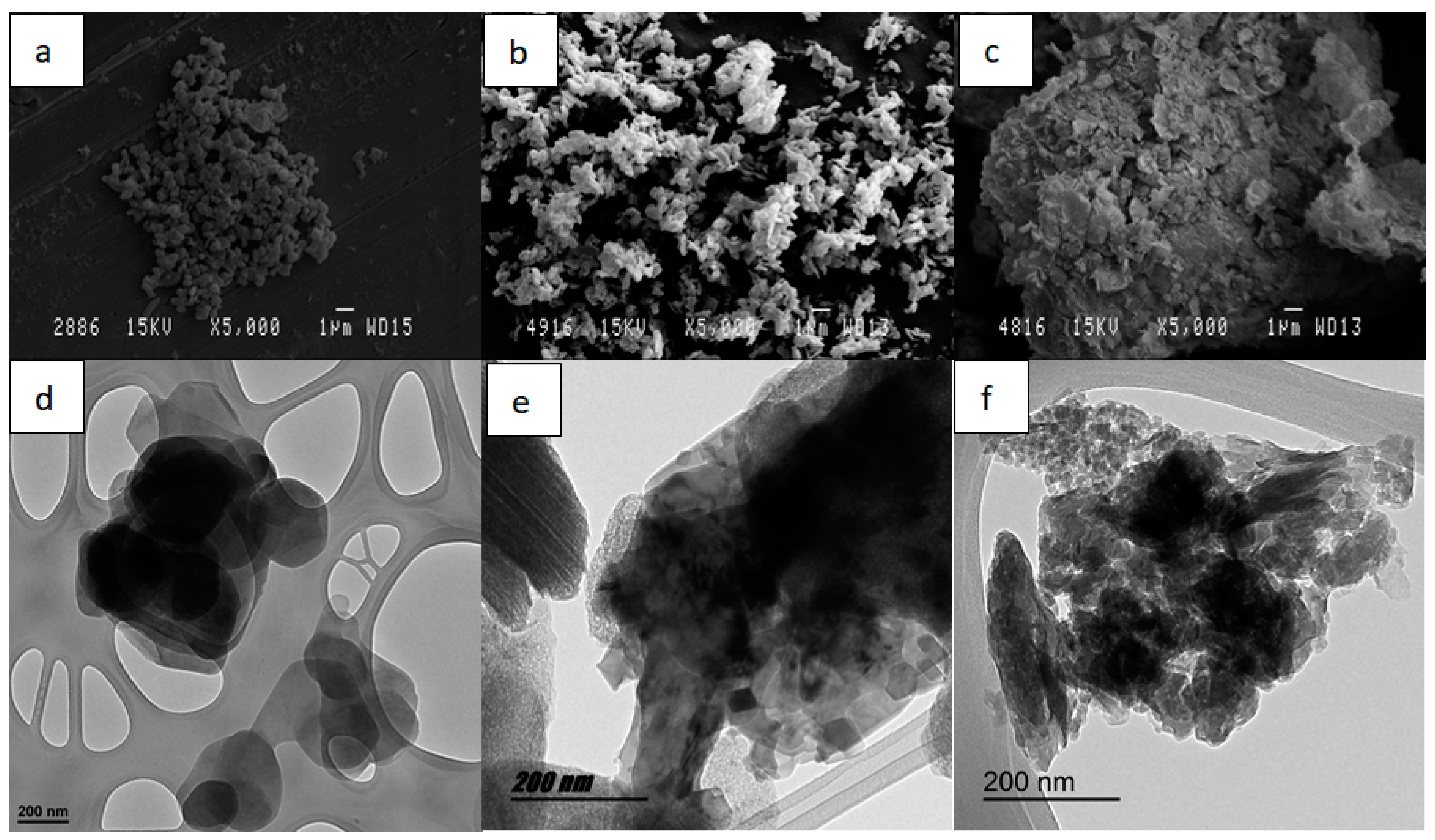 Ijms 24 00808 g010 Ijms 24 00808 g010