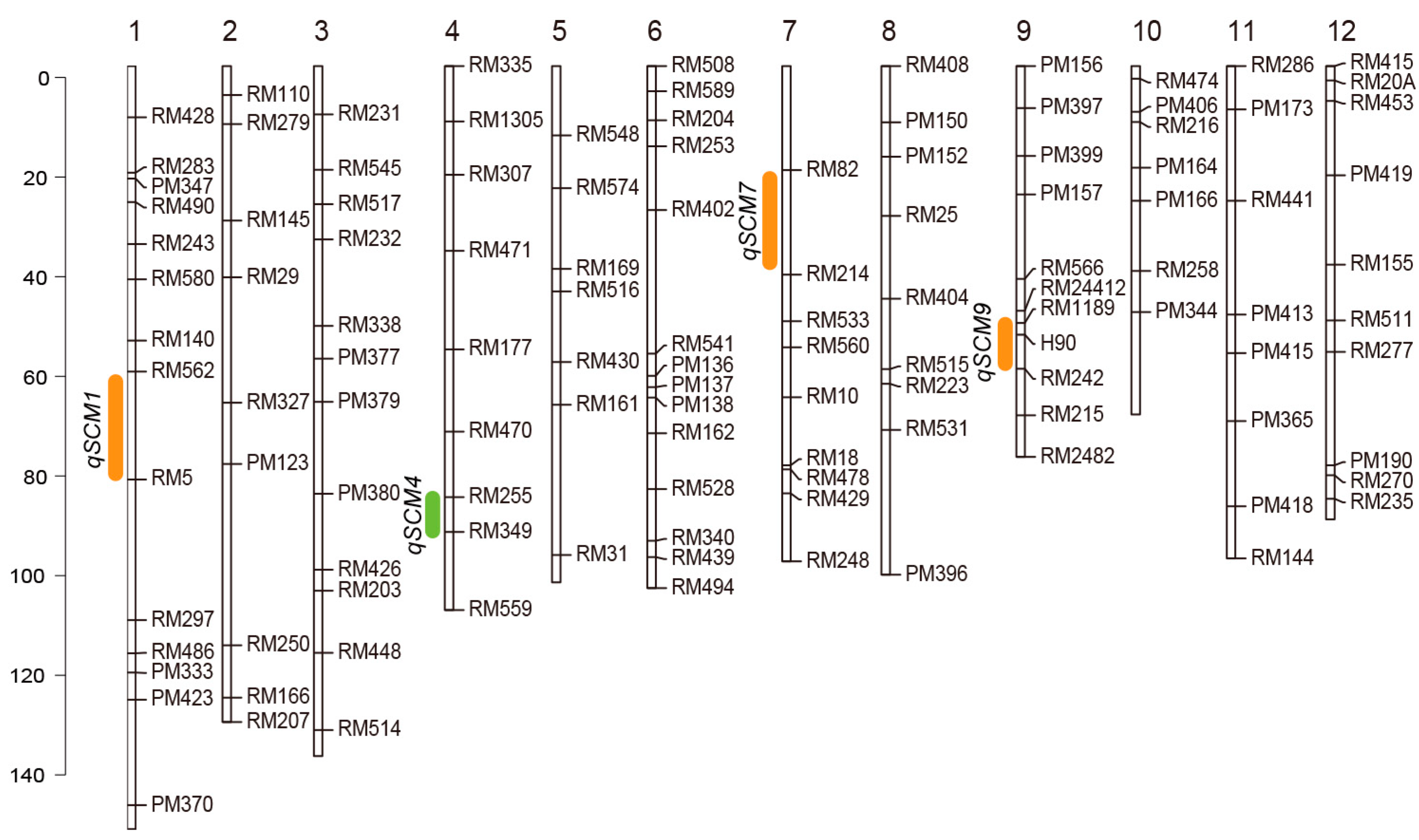 Ijms 24 00812 g001 Ijms 24 00812 g001