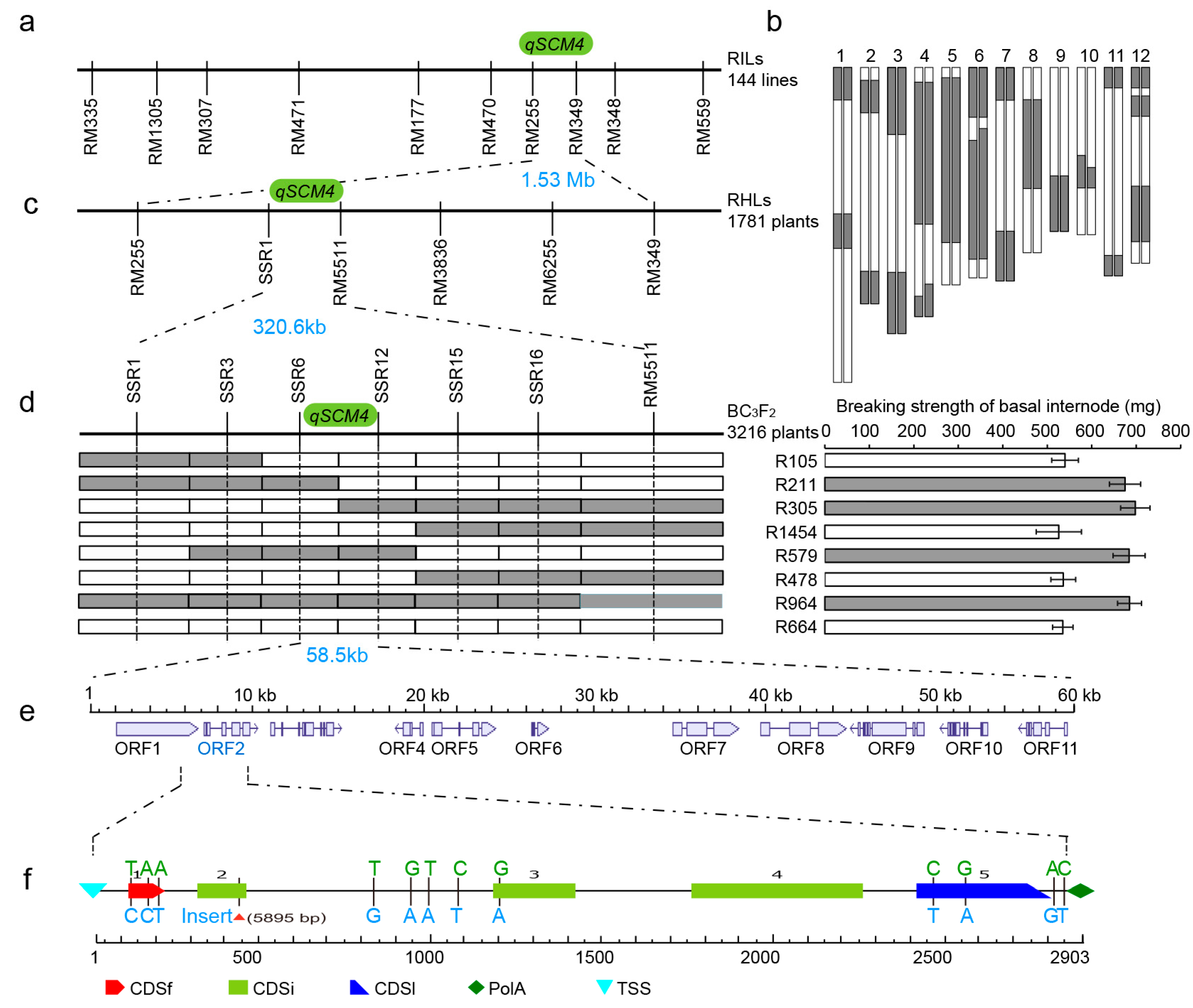 Ijms 24 00812 g002 Ijms 24 00812 g002