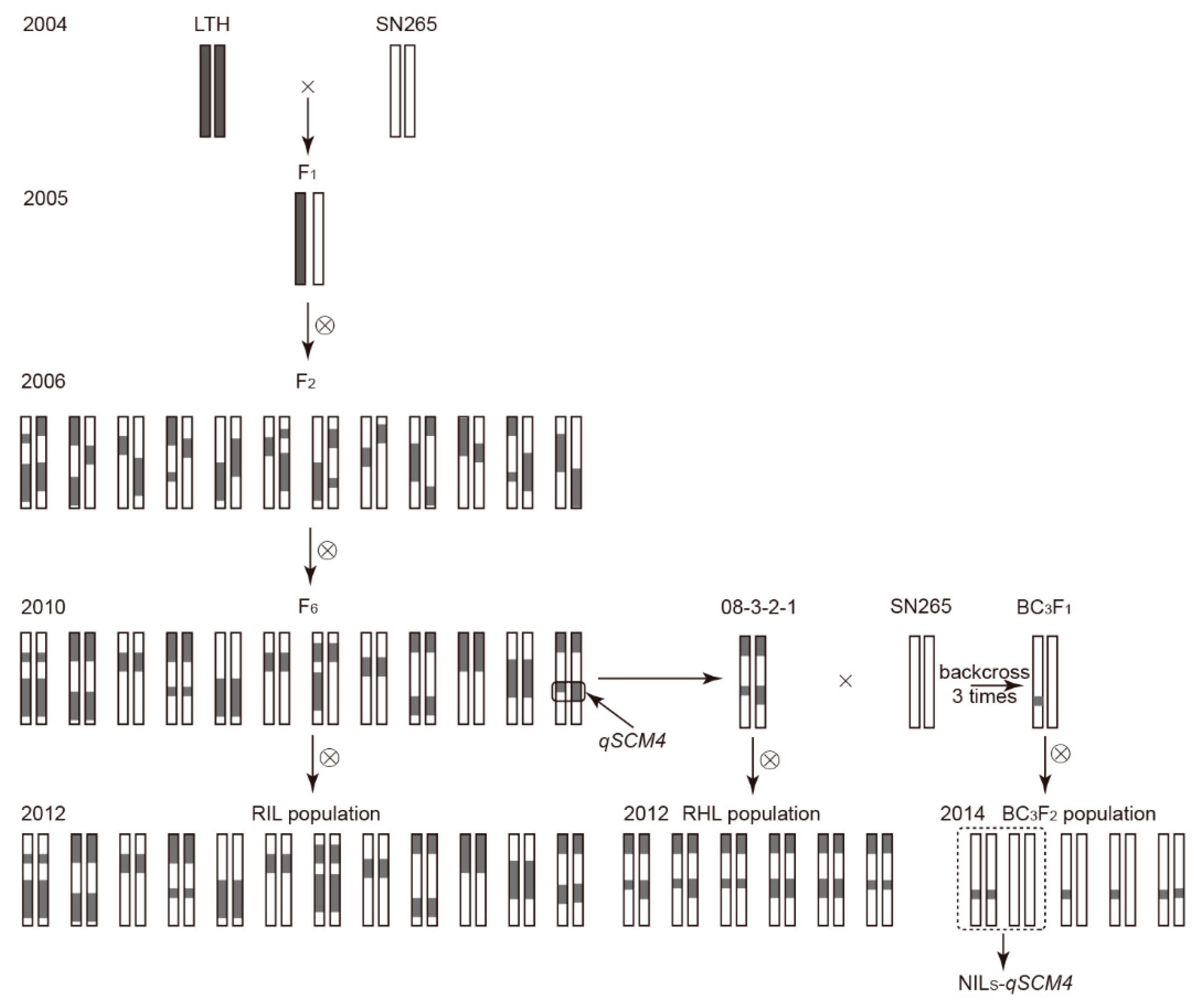 Ijms 24 00812 g004 Ijms 24 00812 g004
