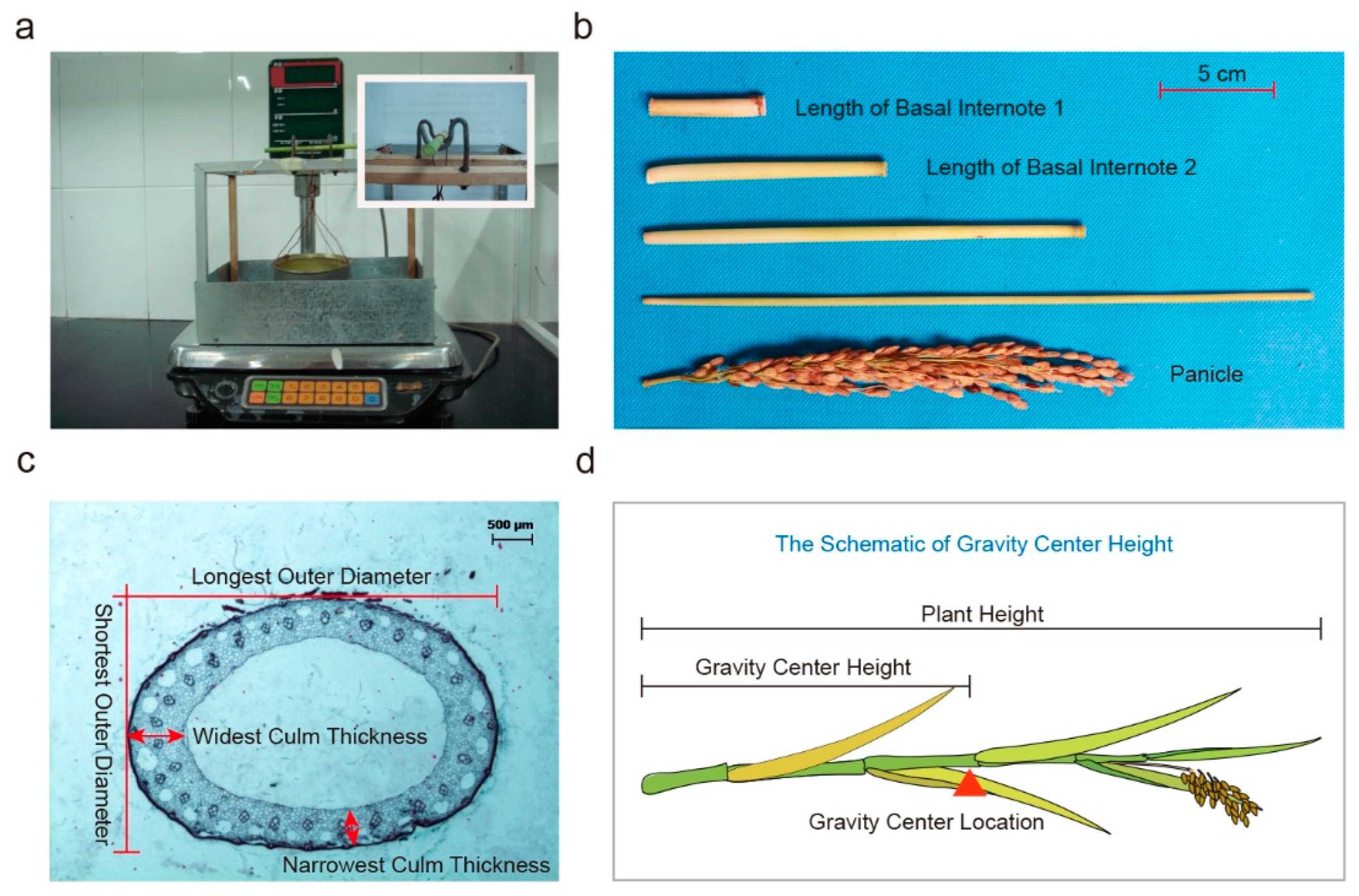 Ijms 24 00812 g005 Ijms 24 00812 g005