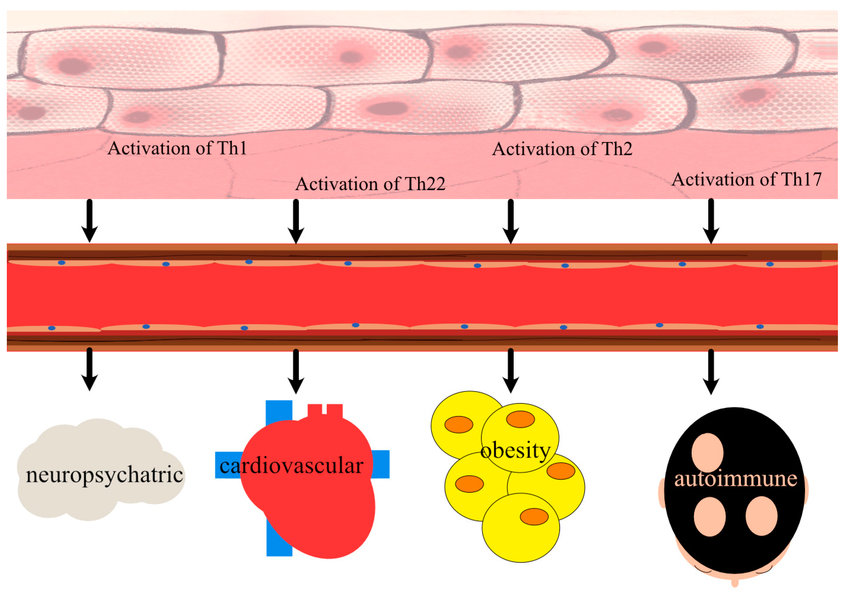 Ijms 24 00837 g001 Ijms 24 00837 g001