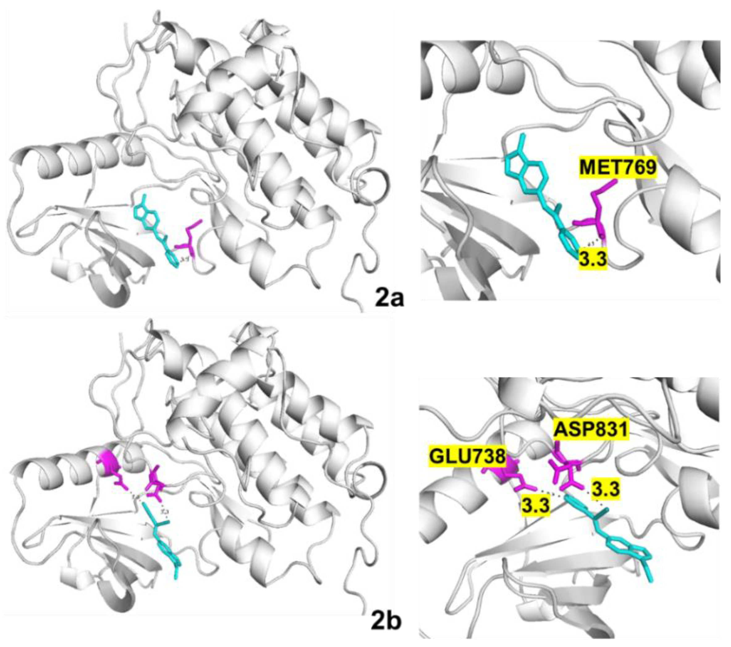 Ijms 24 00854 g011 Ijms 24 00854 g011