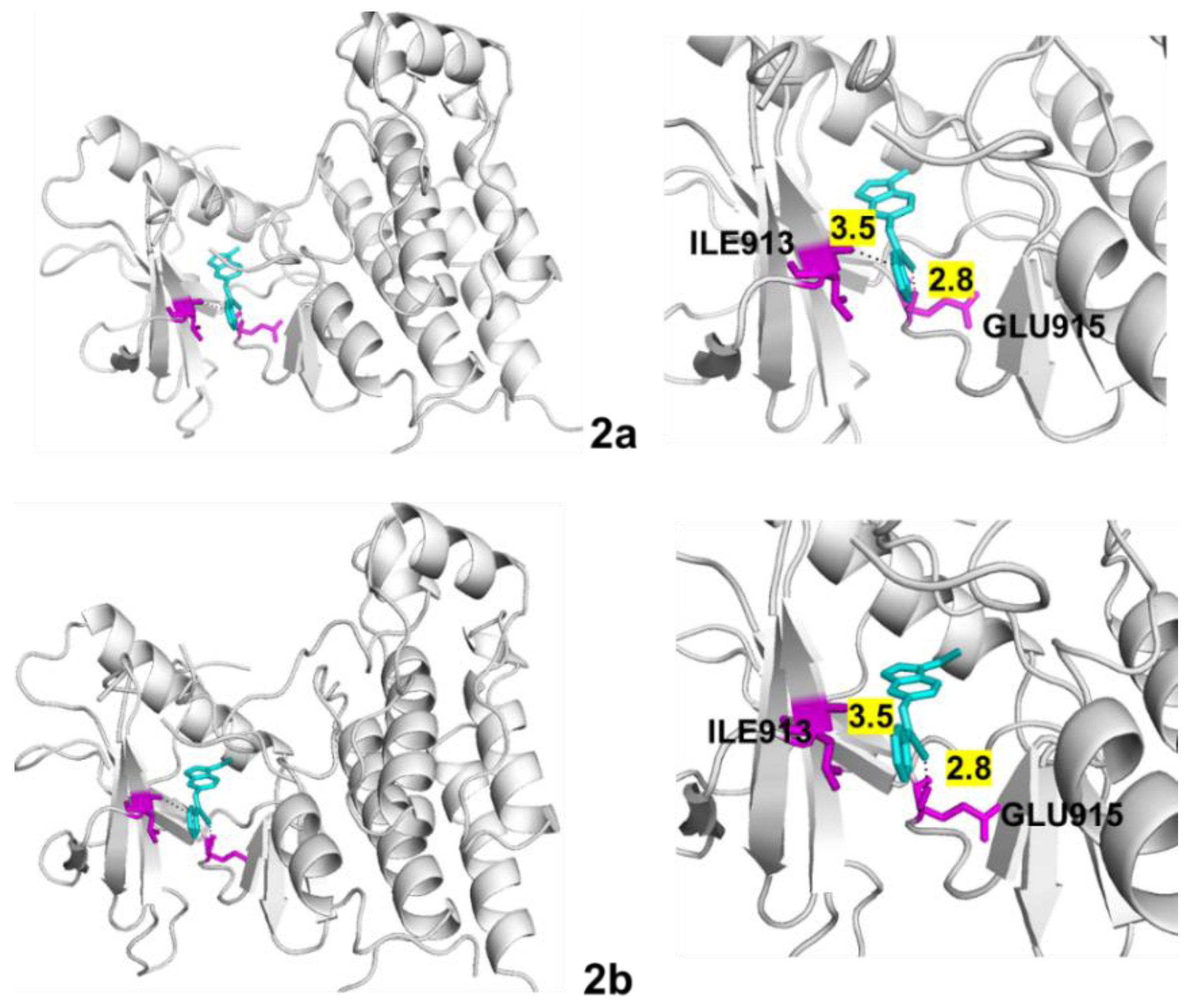 Ijms 24 00854 g012 Ijms 24 00854 g012